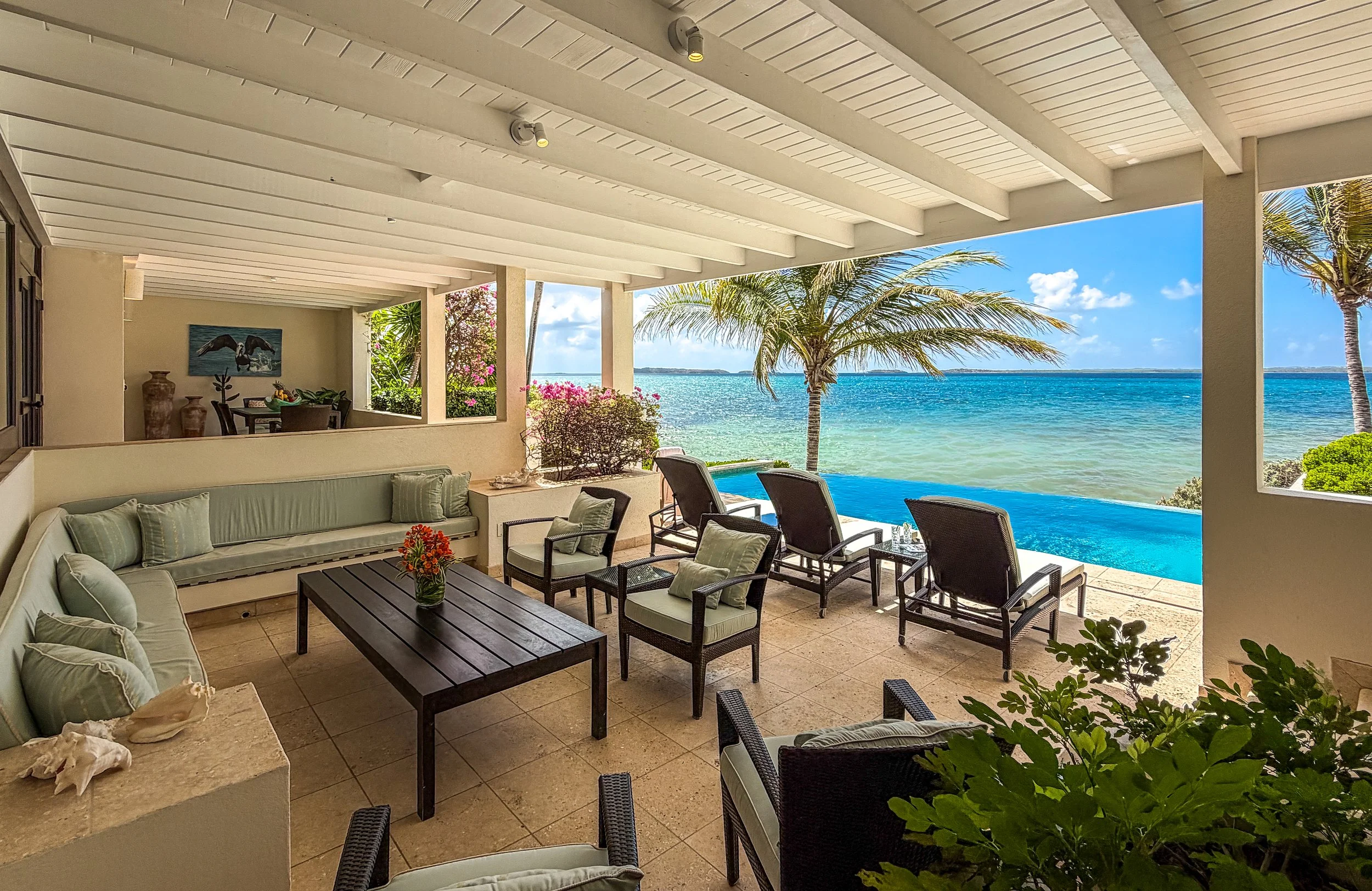EXT16-JUMB-Starfish-2607JMR74380sq.jpg