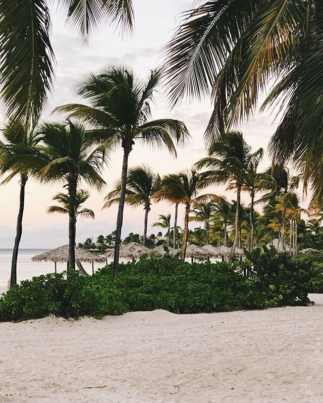 Dancing palms and pastel skies are only just a few of the reasons to vote for #JumbyBayIsland in the 2020 @cntraveler Readers&rsquo; Choice Awards. [Link in bio]

#JumbyBayIsland  #WanderlustWednesday #OetkerCollection #EdenBeing #HostsOfChoice #IAmA