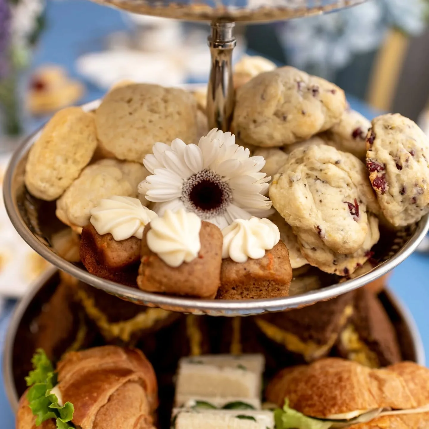 Tasty winter treats by Sattea Mobile Tea Boutique!

#afternoonteavancouver #afternoonteacateringvancouver #afternoonteasurreybc #highteacateringvancouver #highteavancouver