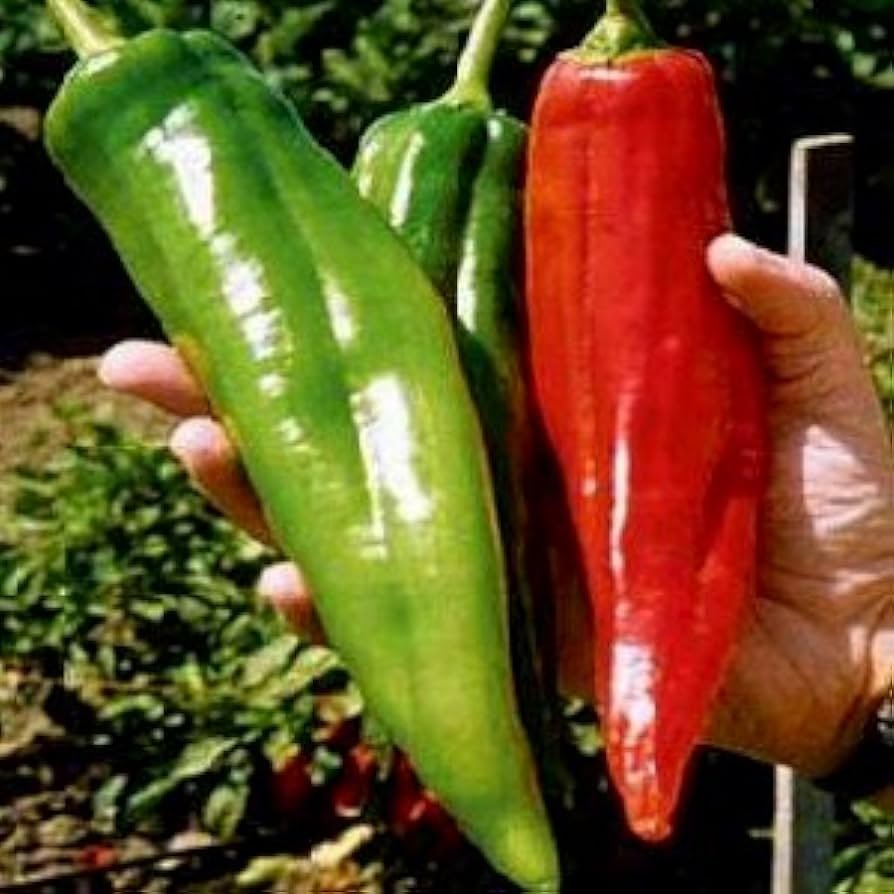 Big Jim Hatch Pepper