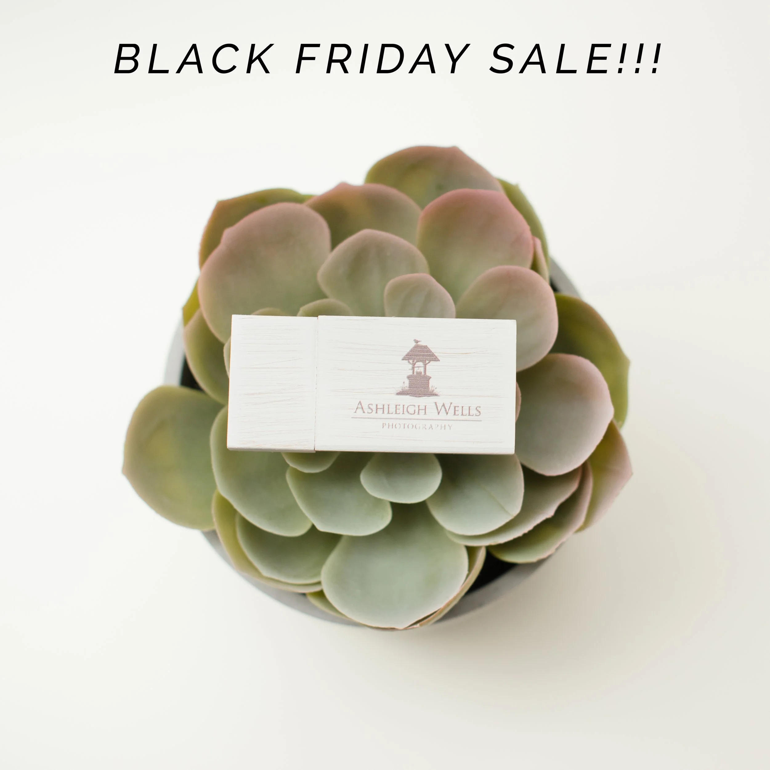 Black Friday is Early!