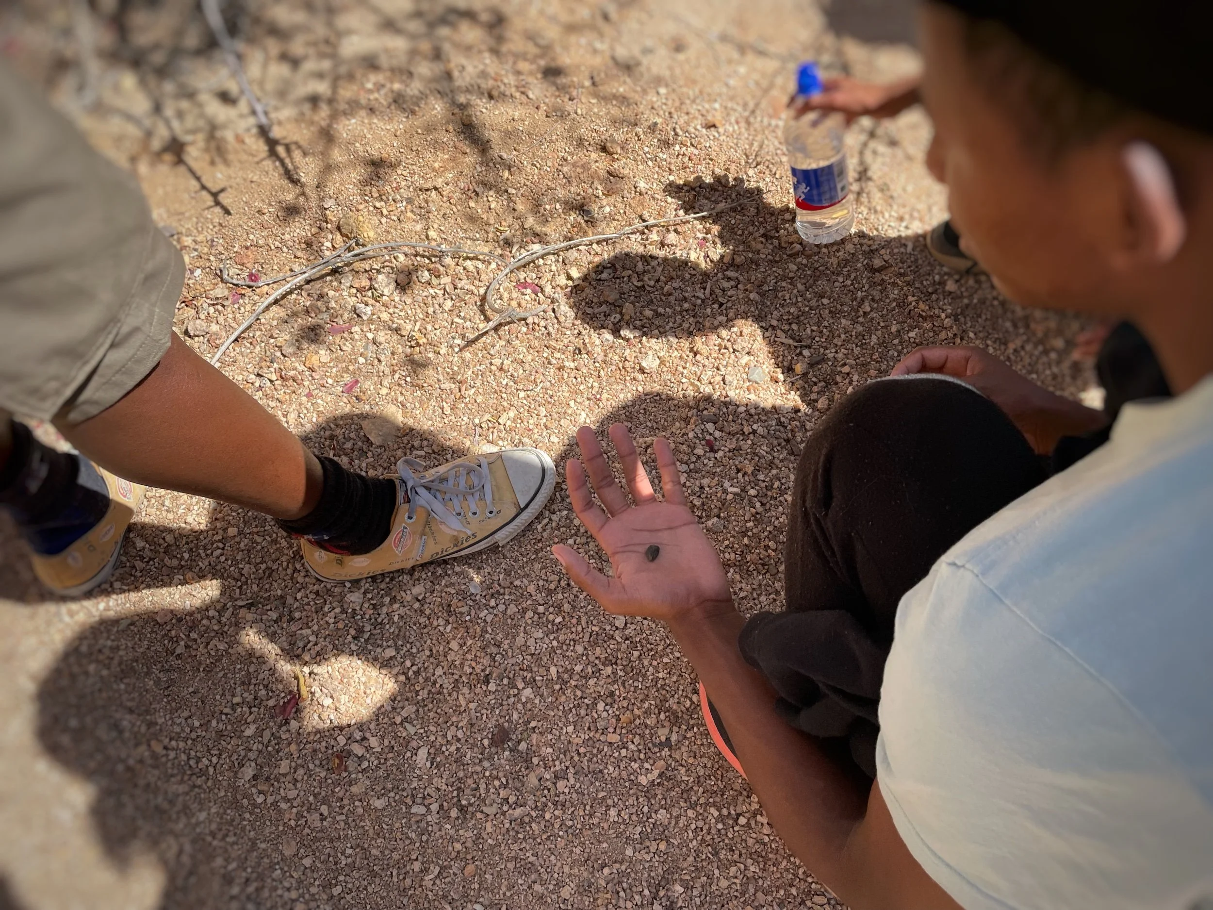 JPEG image-3FCAE2487EDE-1.jpeg