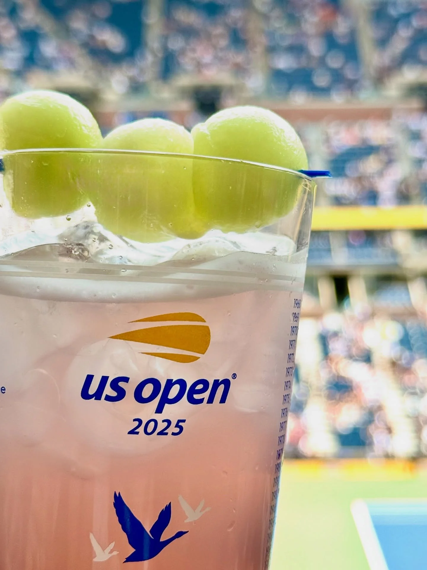 US OPEN // what a fun whirlwind two days @usopen 🎾 with some very exciting matches, amazing venues, big crowds, perfect weather, and those #honeydeuces ☺️. #newyork #usopen