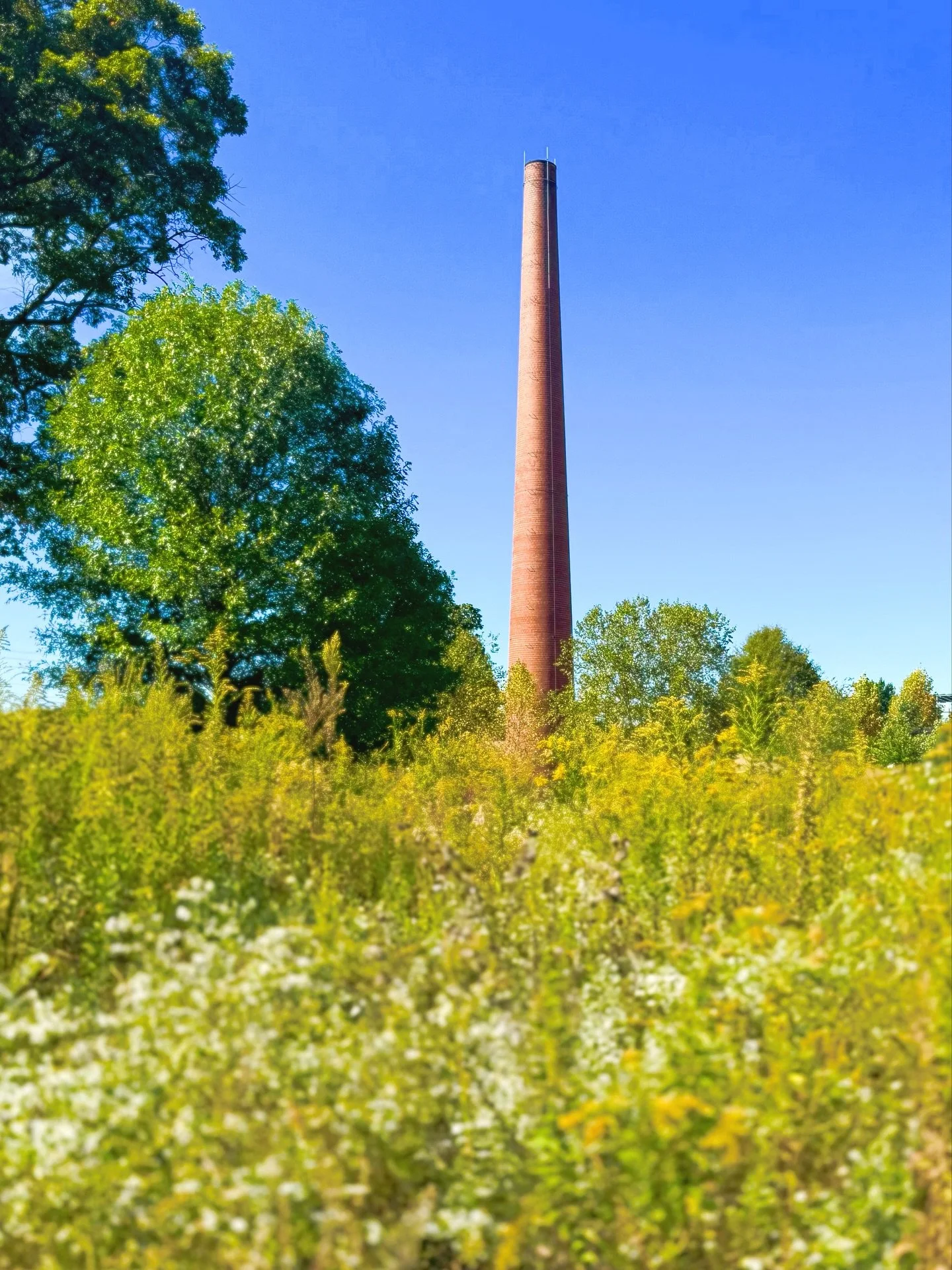 EXPLORE // a good week for a walk. 

@ncartmuseum #ncmagram #artnaturepeople