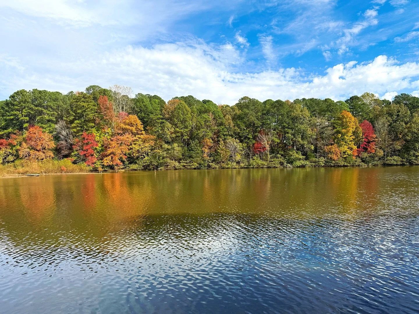 Pretty day for a walk. 🍁 🍂