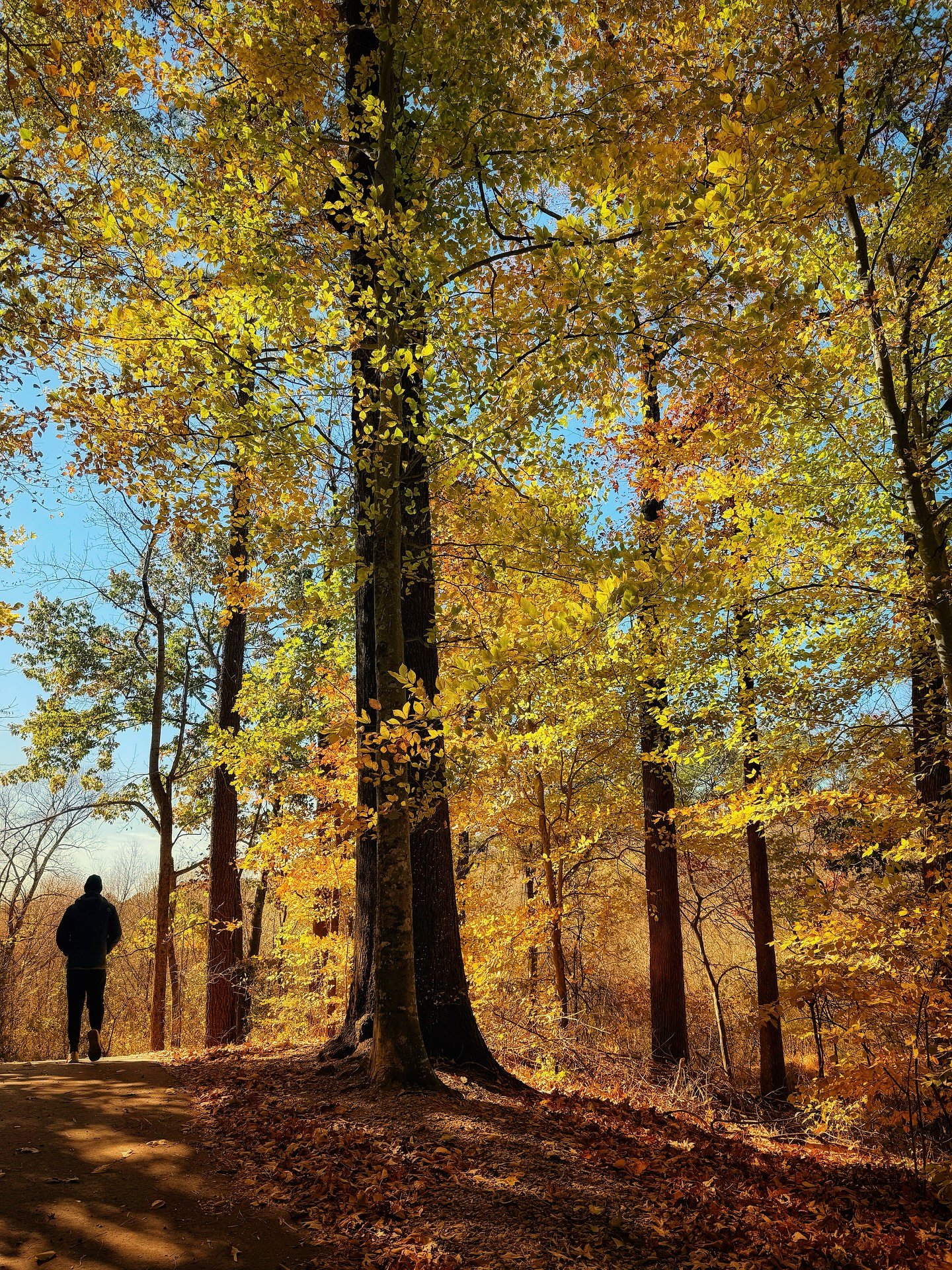 EXPLORE // Love this time of year! 🍁 Raleigh is lucky to have great @raleighparks + walking trails to #getoutside + enjoy before winter sets in!
