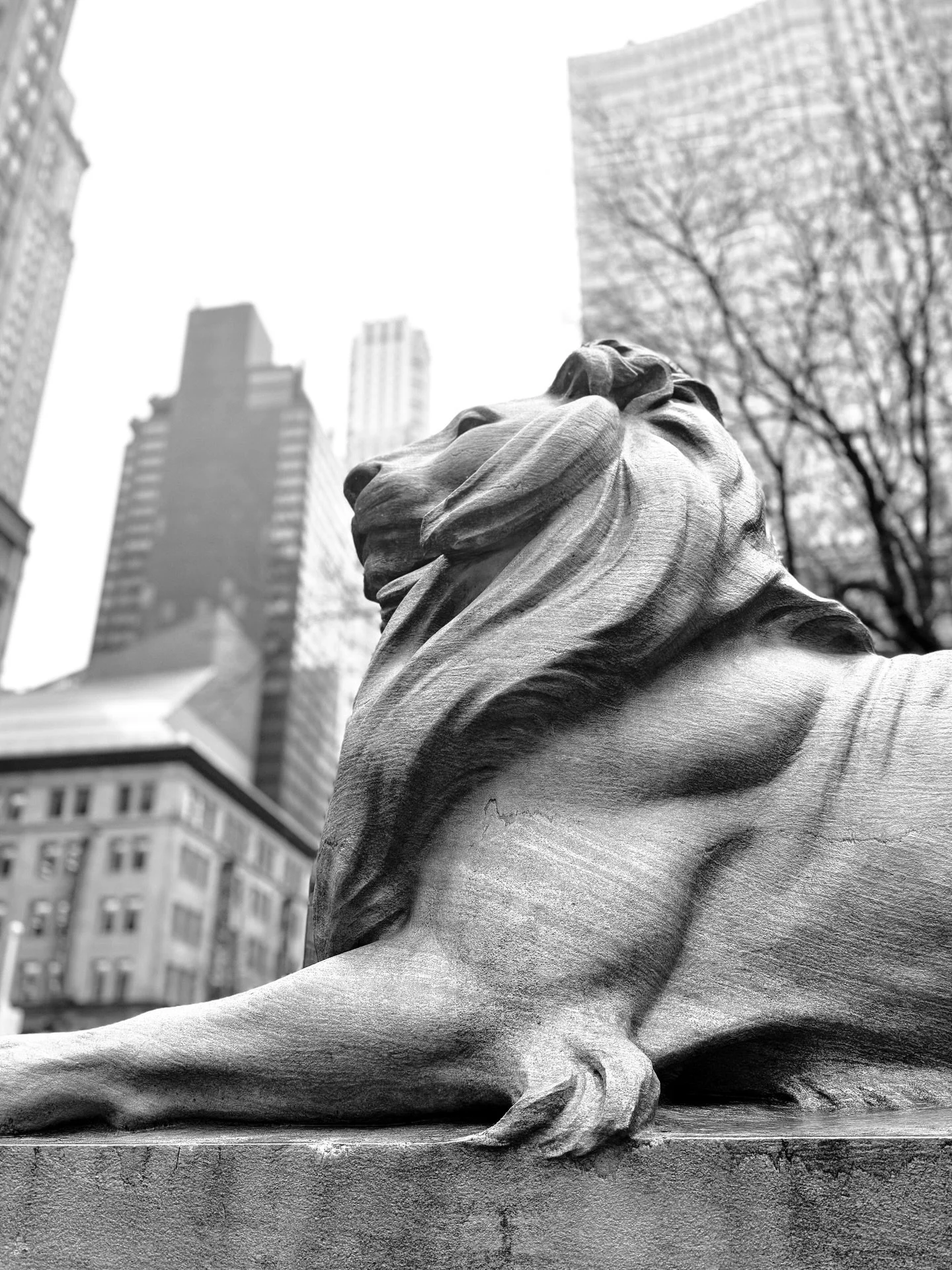 NYC // 36 hours in the city. The calm before the blizzard. #nyc