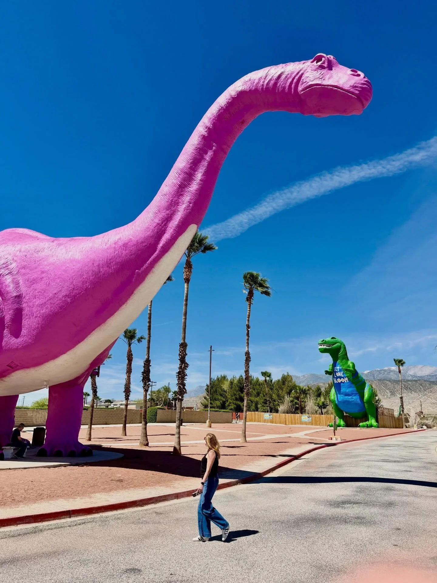 TRAVEL // postcards from the desert. So many amazing things to discover in and around Joshua Tree. Our quick weekend trip was focused around seeing Johnny Marr play @pappyandharriets - an unforgettable night under the desert stars. 

@thecopperroom19