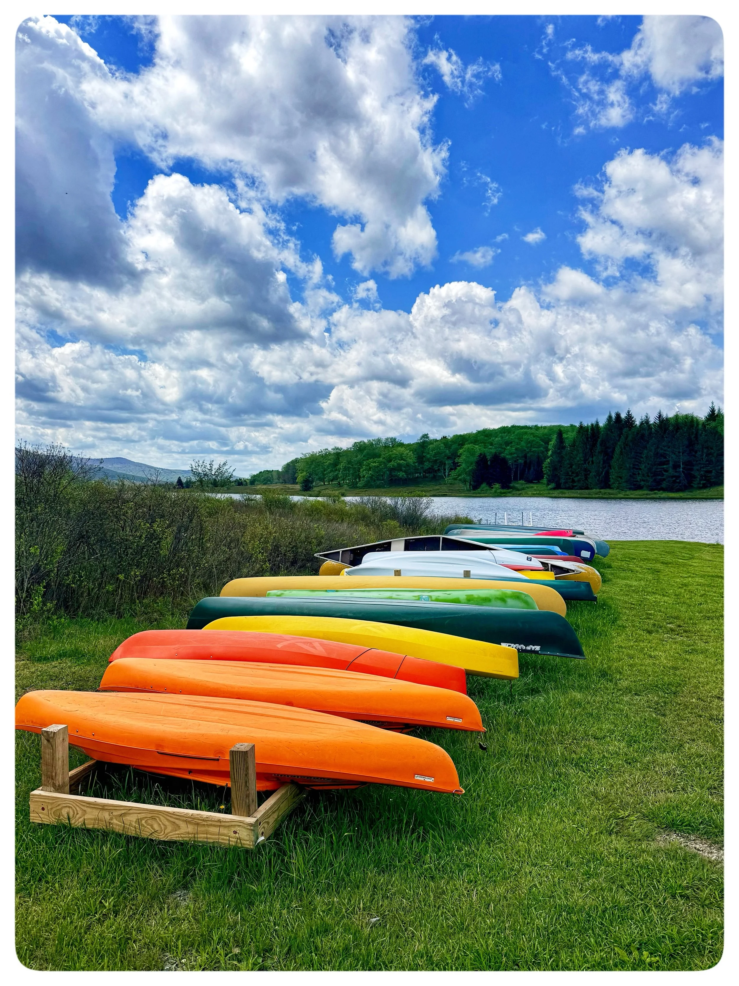 CANAAN VALLEY // This weekend we enjoyed taking part in the 64th WV Wildflower Pilgrimage in #CanaanValley at the Blackwater Falls State Park. My mother in law and her sisters have taken part in this annual event for many years and we lucked out this