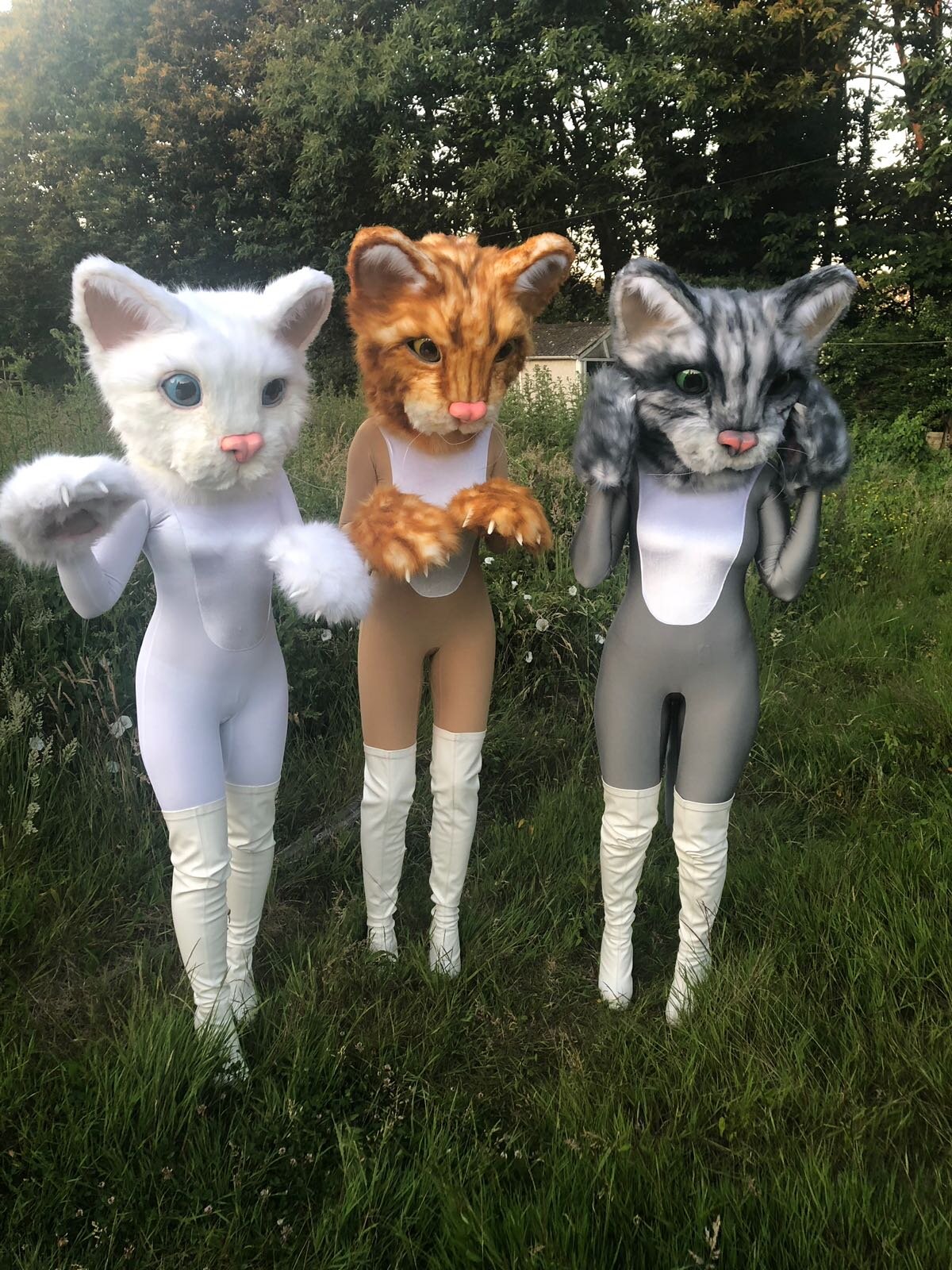Kitty cat performers at event