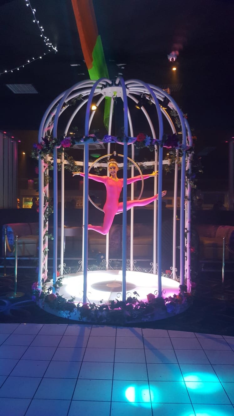 Giant bird cage performer at event