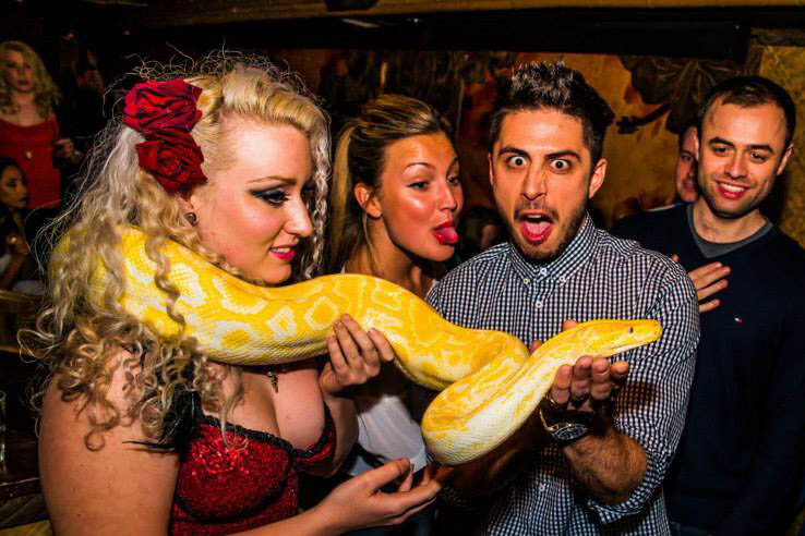 Snake charmers at live event