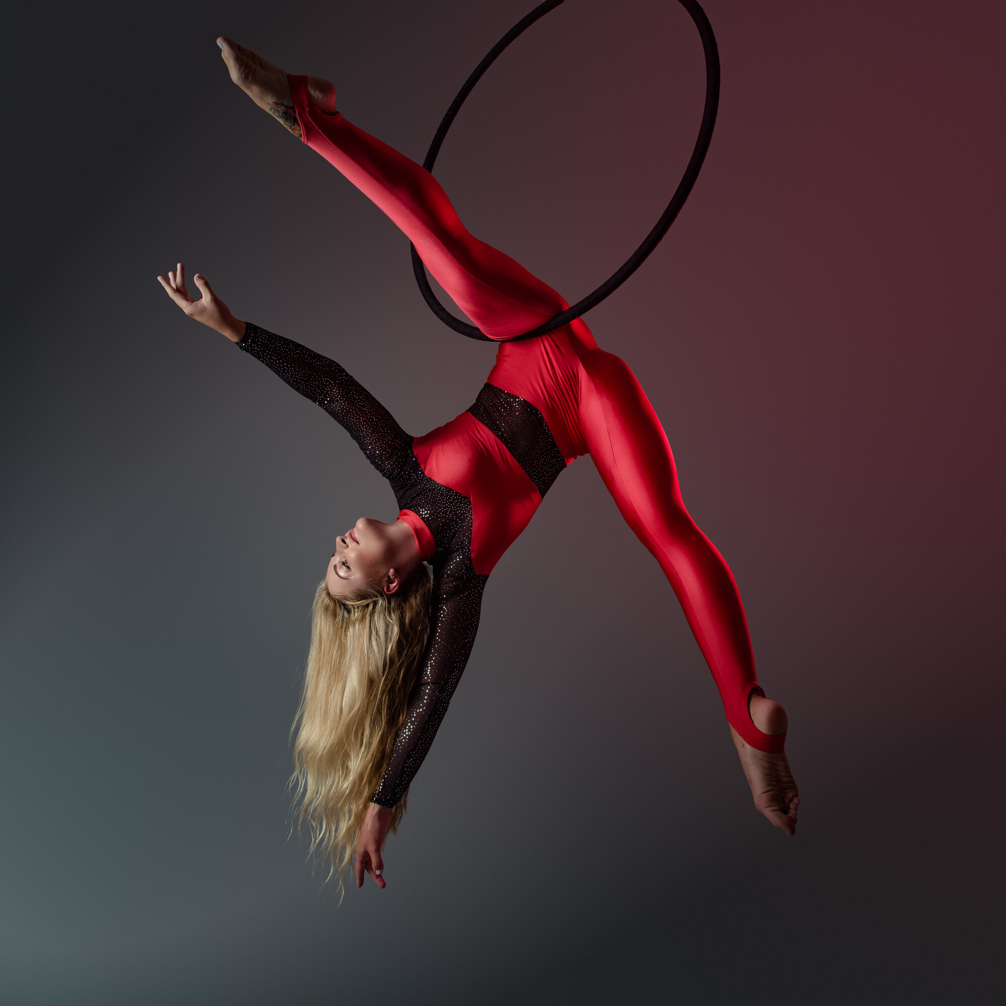 Aerial red catsuit.JPG