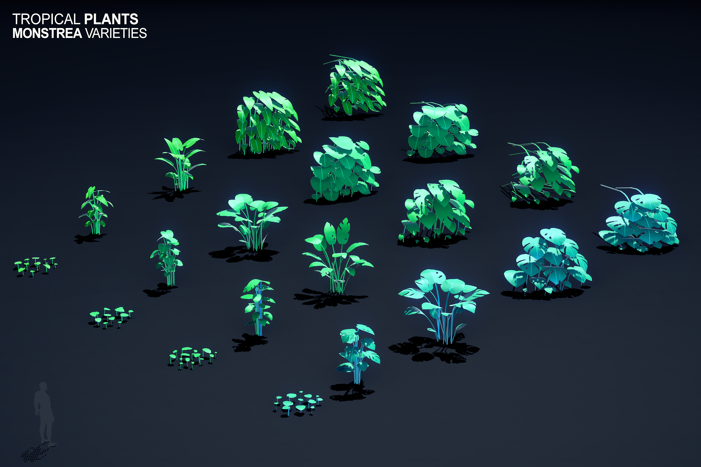 0005_plants_all_monstrea_top_down_A_01_b_2057.png
