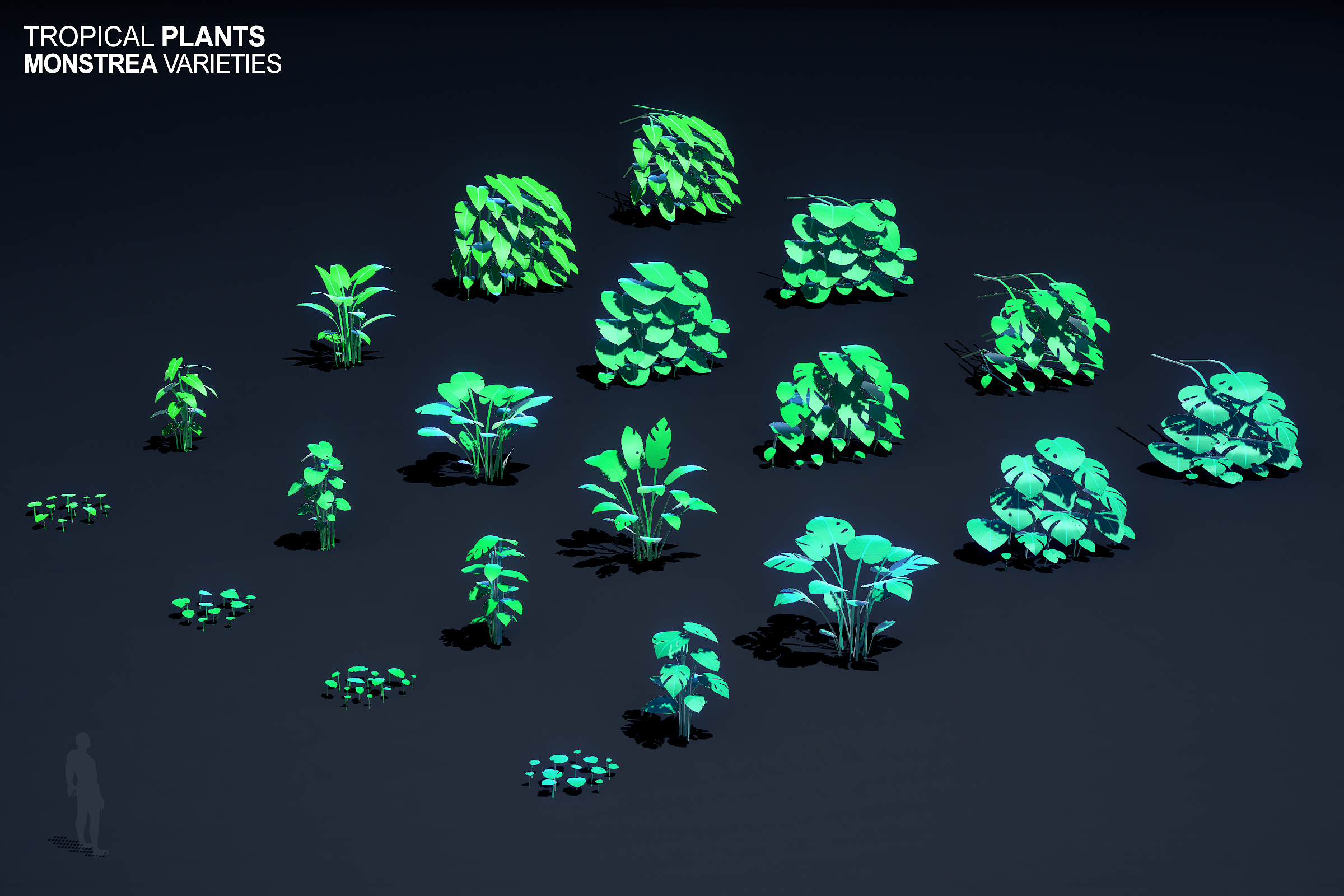 0004_plants_all_monstrea_top_down_A_01_a_2035.png