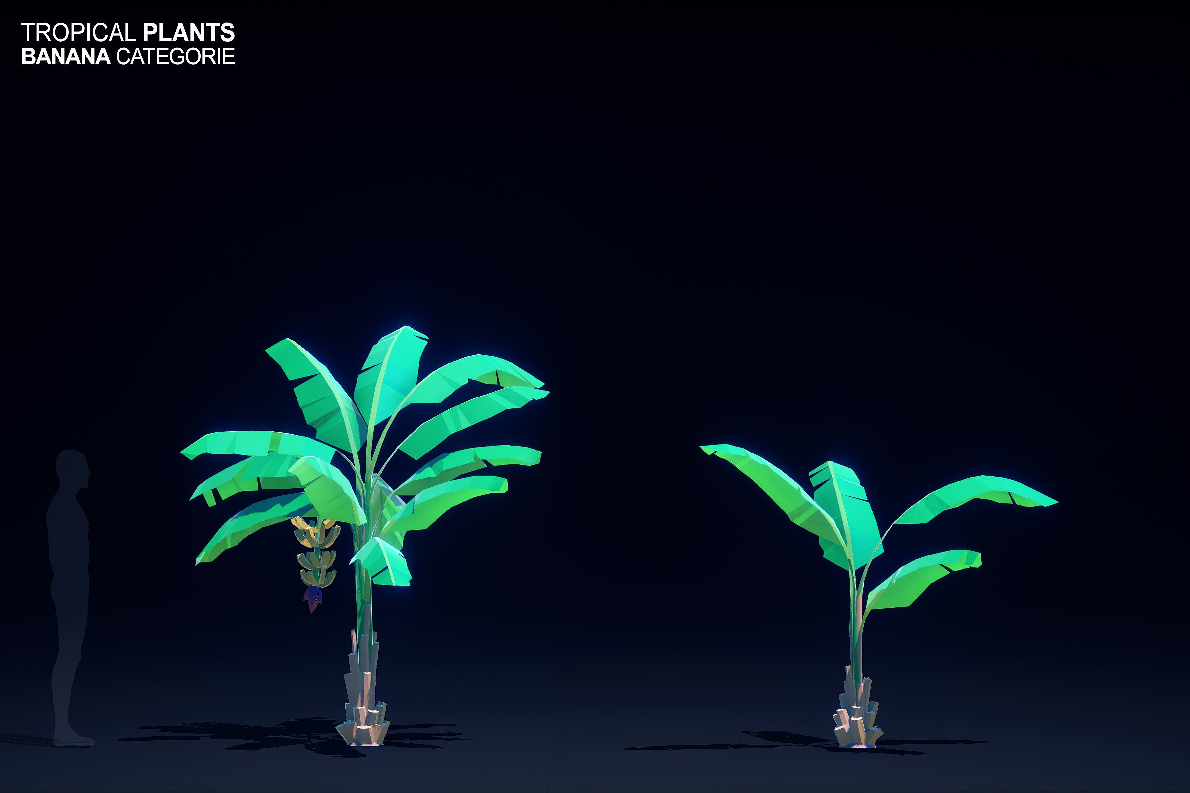 2205_plants_banana_147 - Cop3.png