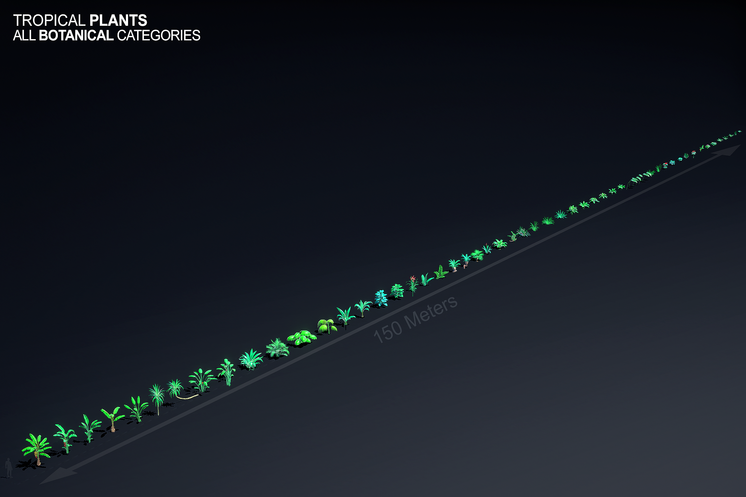 0003_plants_all_lineup_by_size_1027.png