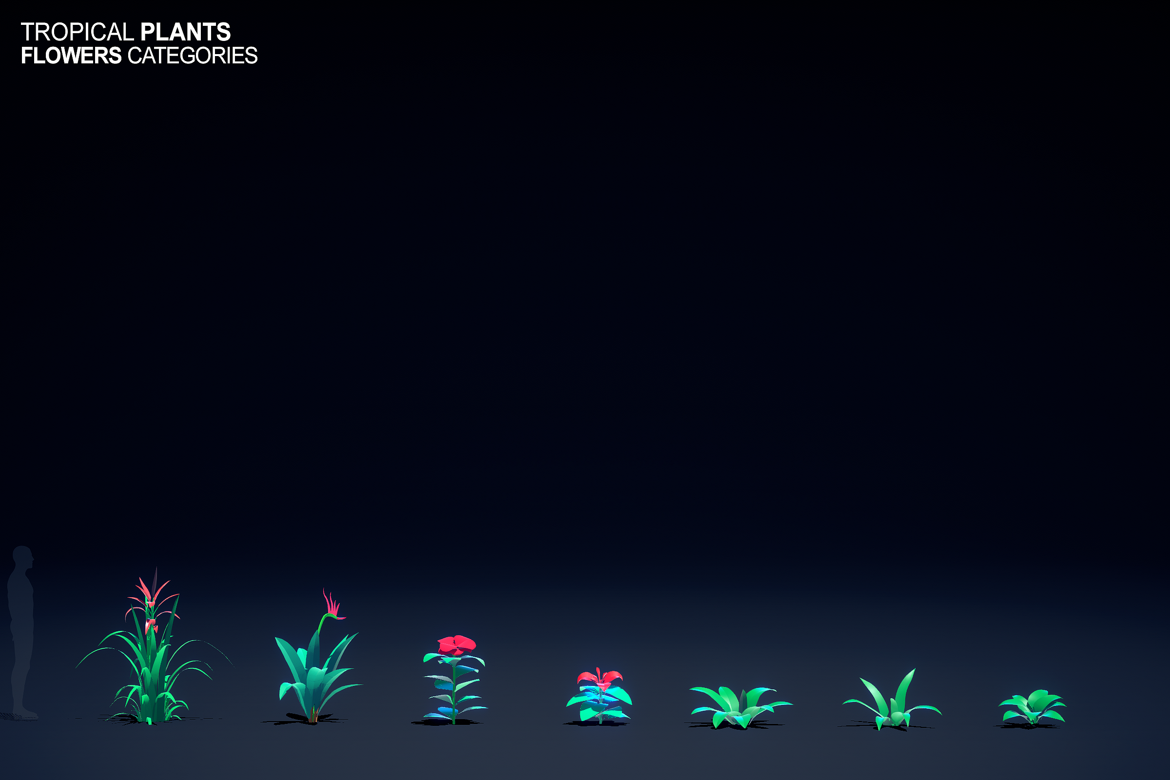 2256_plants_flowers_B.png