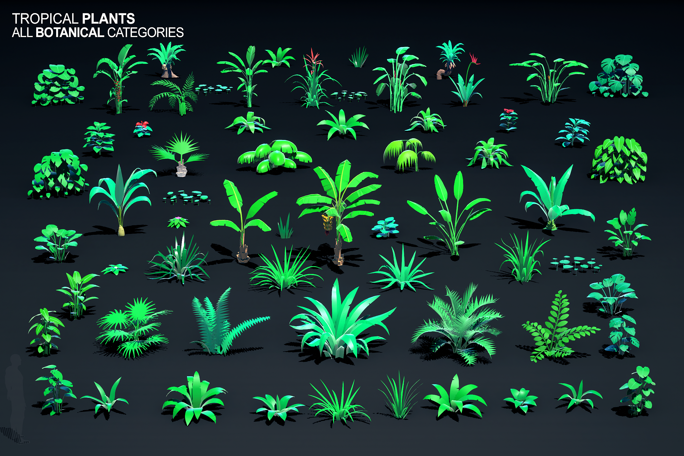 0000_plants_groups_heroes_square_funk_1906.png
