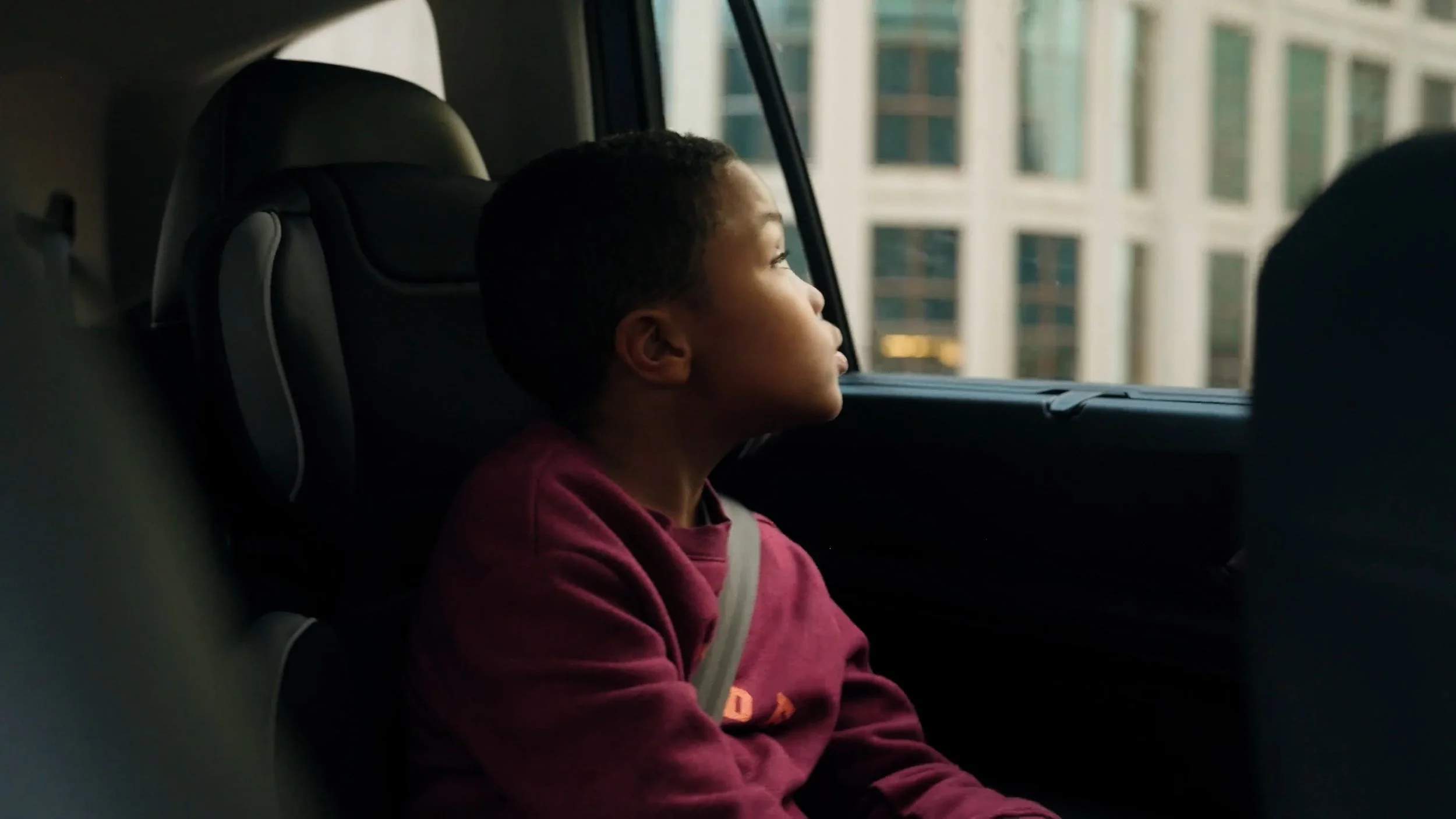 Still 2026-01-15 163612_1.31.1.jpg