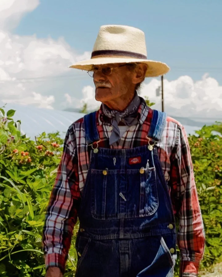 My favorite scenes and frames from a recent project for a seasonal outdoor cooking class with @thesproutingkitchen It&rsquo;s been a unique experience being on local farms and observing a community that comes to learn, cook, and eat together. Gratefu