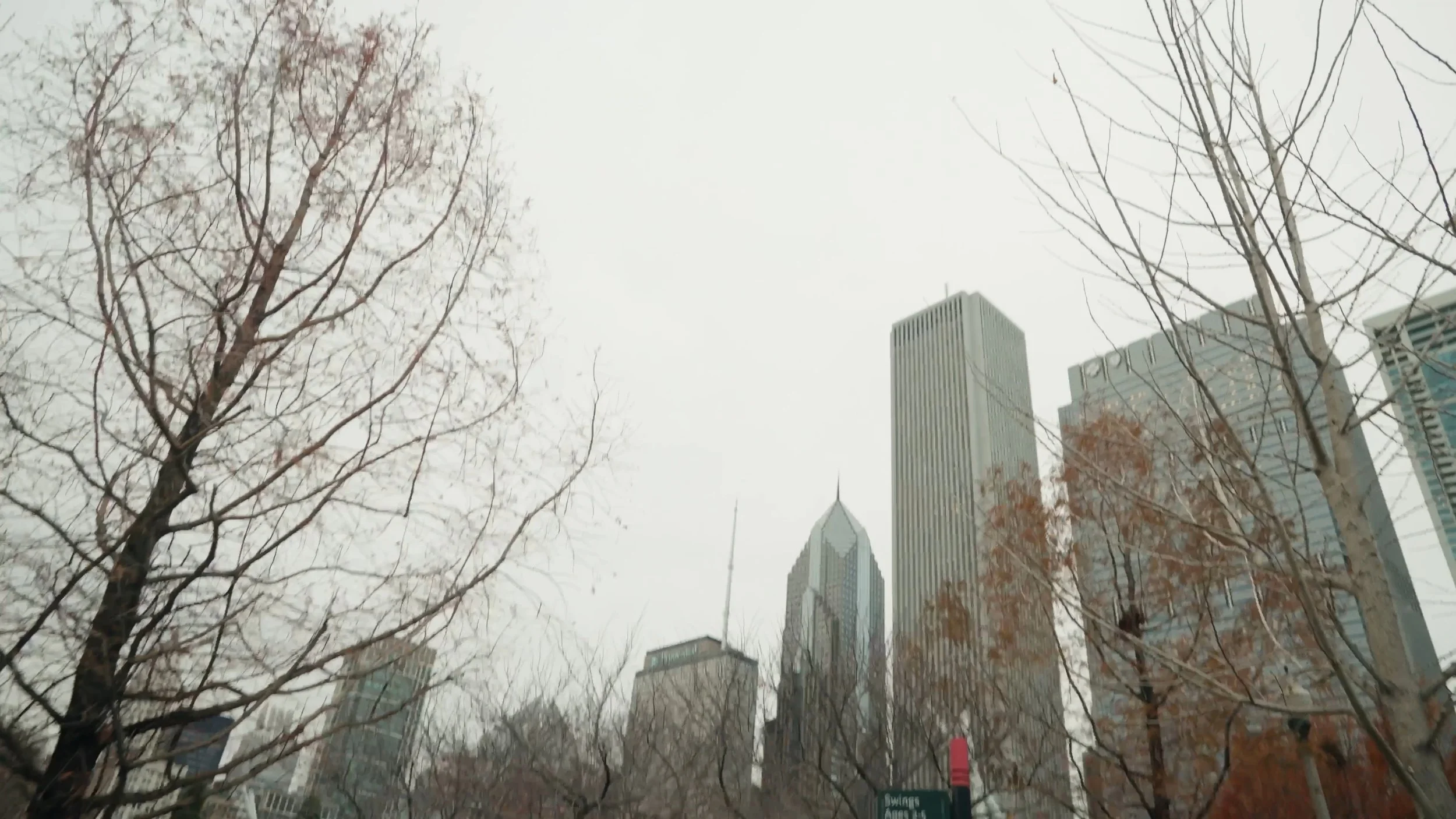 Still 2026-01-15 163612_1.52.1.jpg