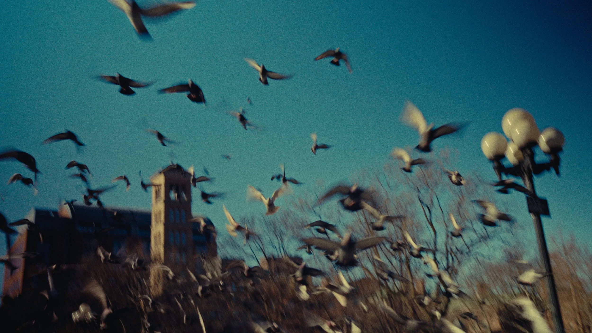 Still 2026-01-29 144504_1.2.1.jpg