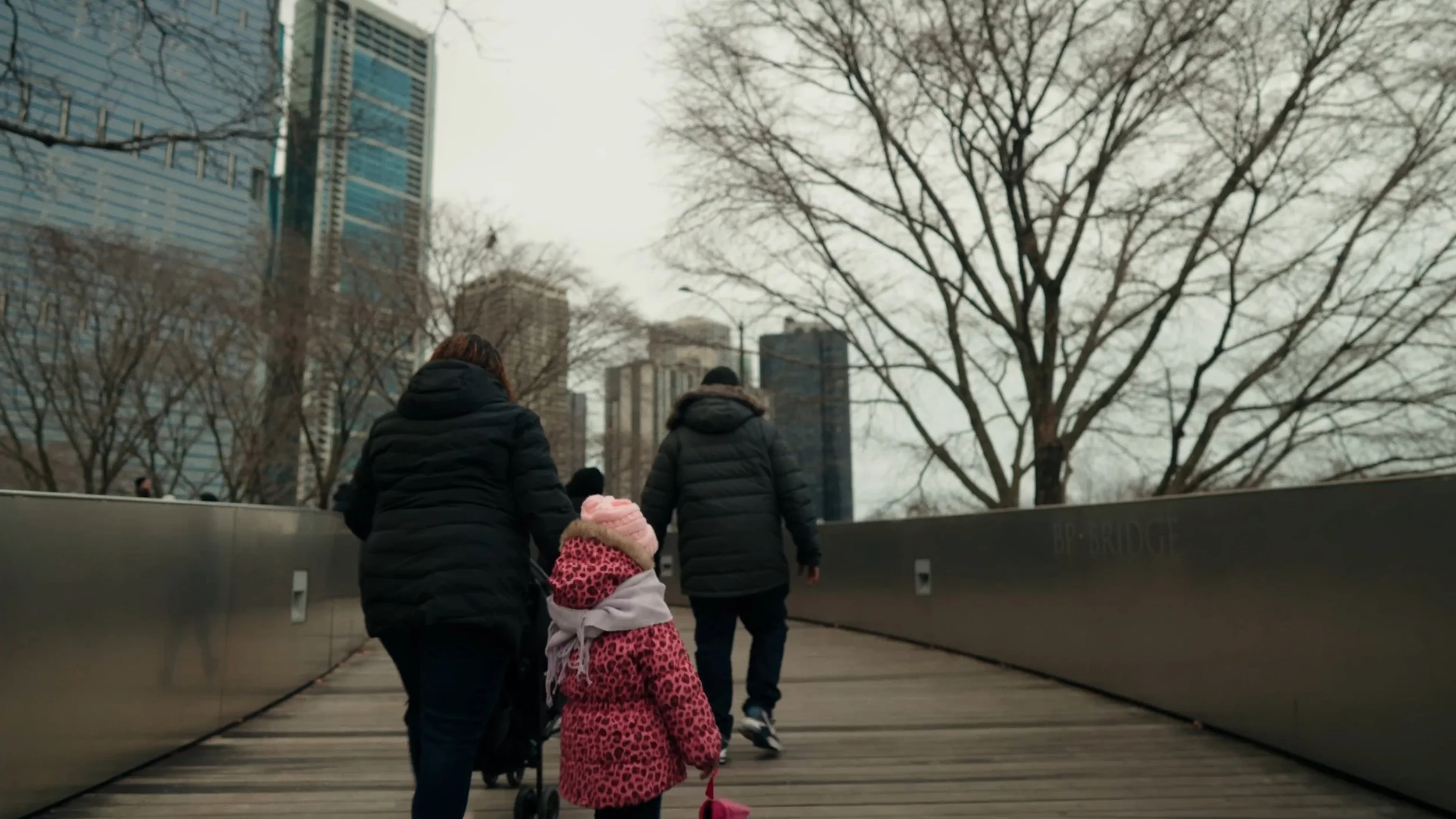 Still 2026-01-15 163612_1.40.1.jpg