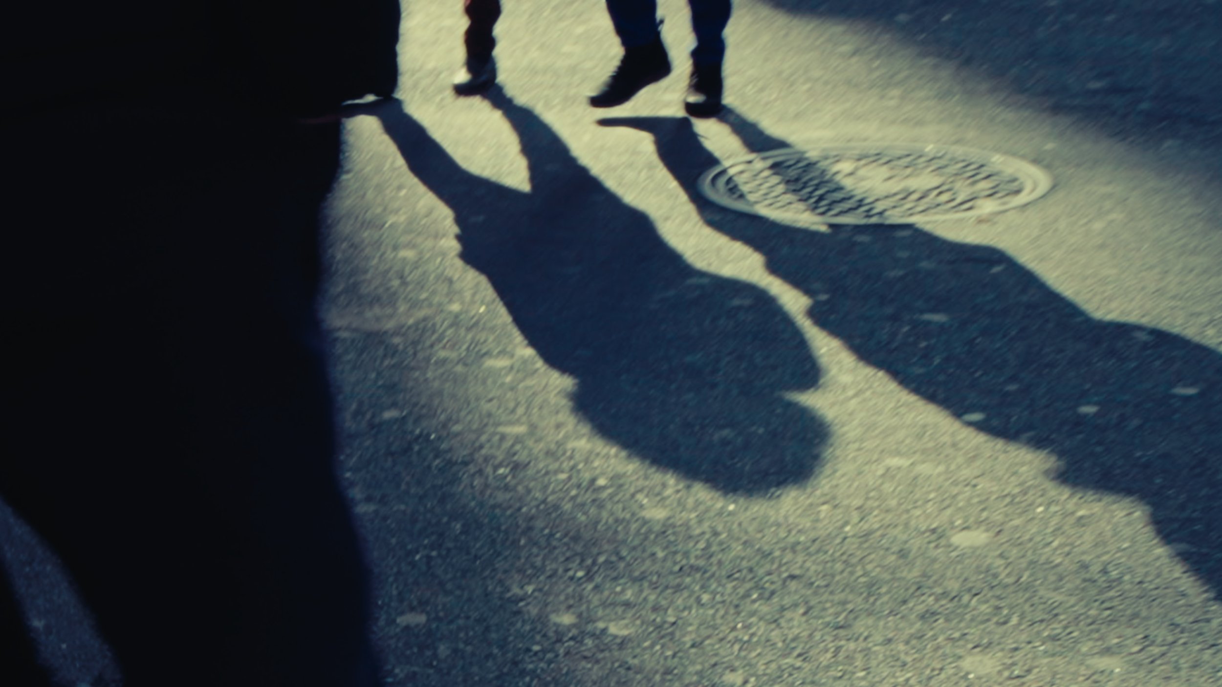 Still 2026-01-29 151130_1.6.1.jpg