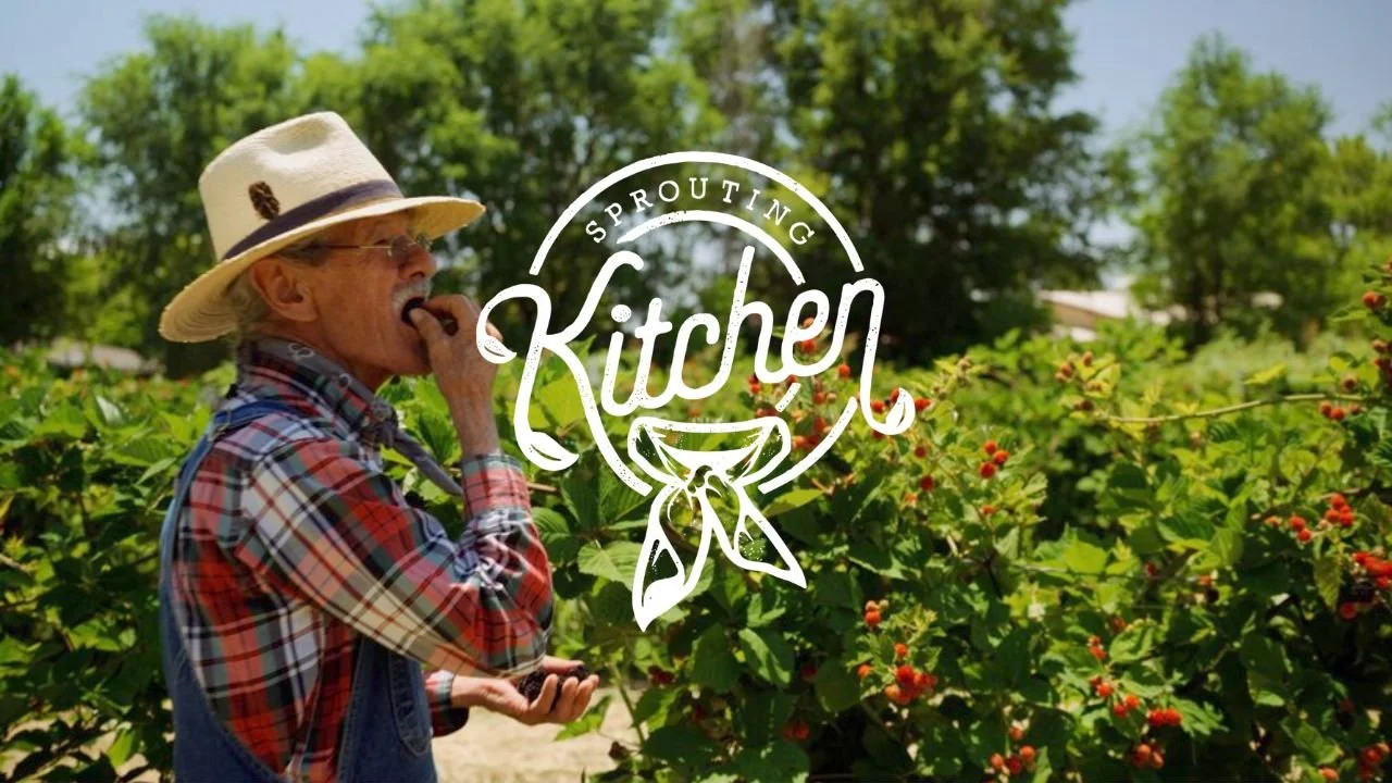 The Sprouting Kitchen