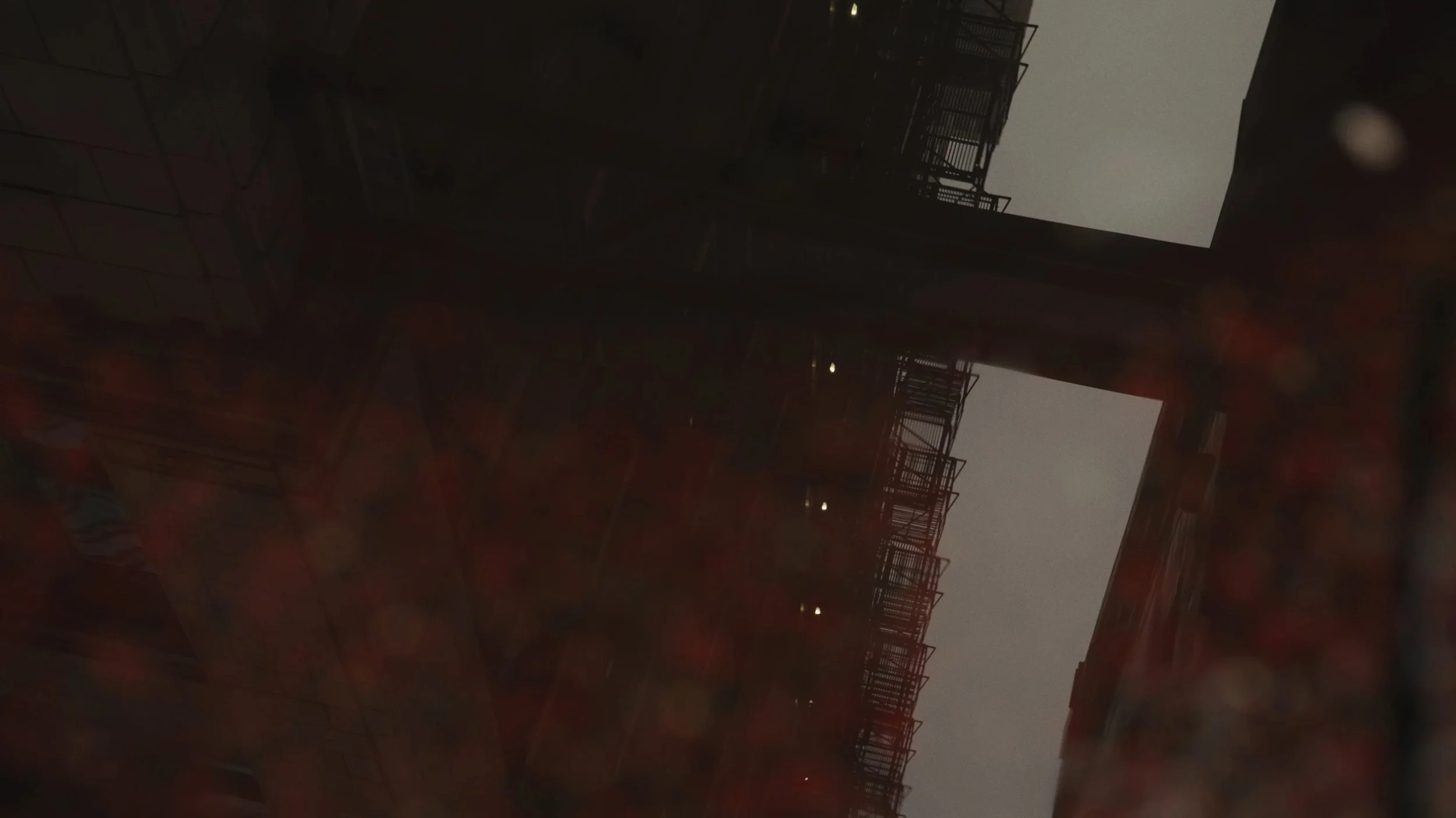 Still 2026-01-15 163612_1.33.1.jpg