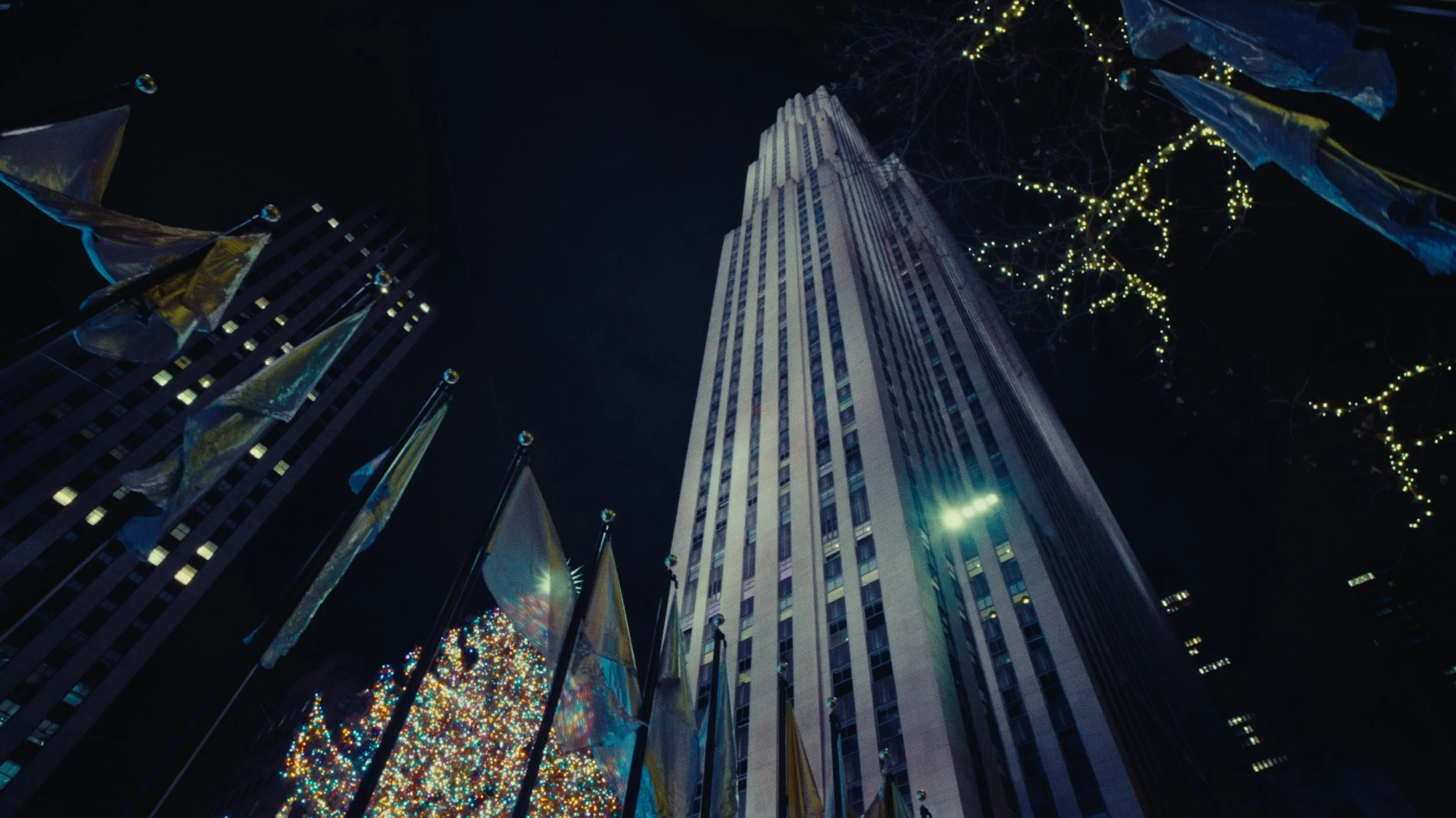 Still 2026-01-29 151253_1.4.1.jpg