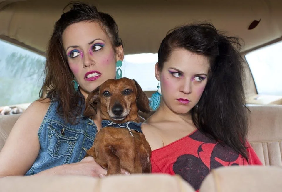 Doxie, dachshund, babes, food, breakfast, gay, lesbian, LGBTQIA, rainbow, wiener dog, dog lover, bebop, tiny dog,