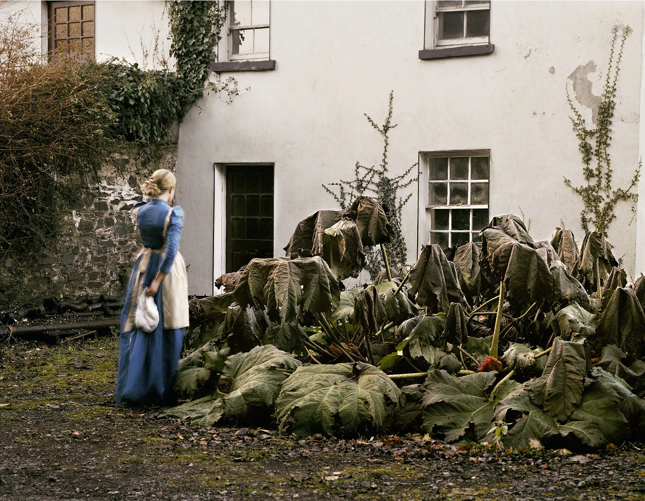 A woman in historical dress standing outside an old building, looking at withered plants on the ground.