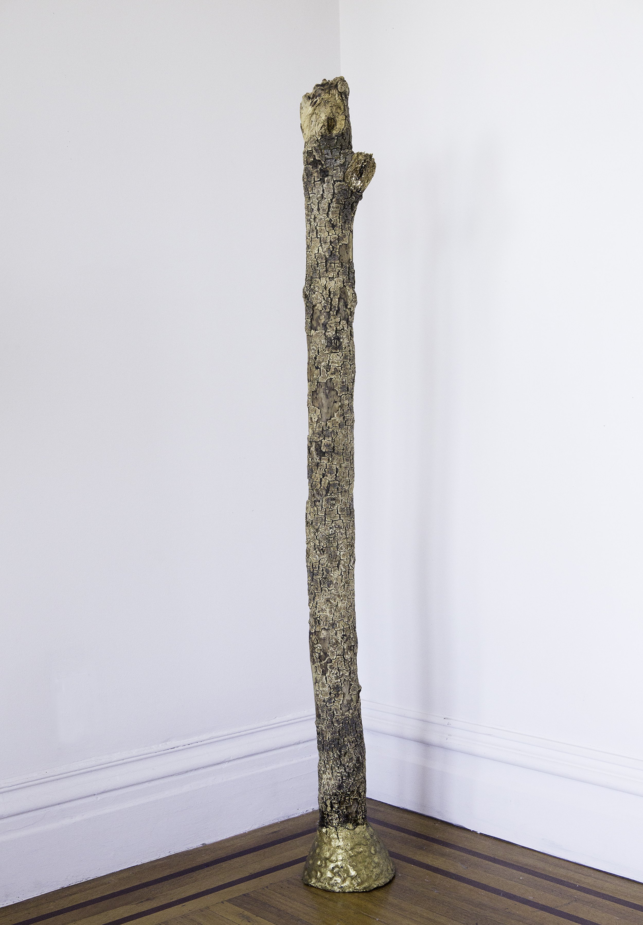 treee trunk in clay_.jpg
