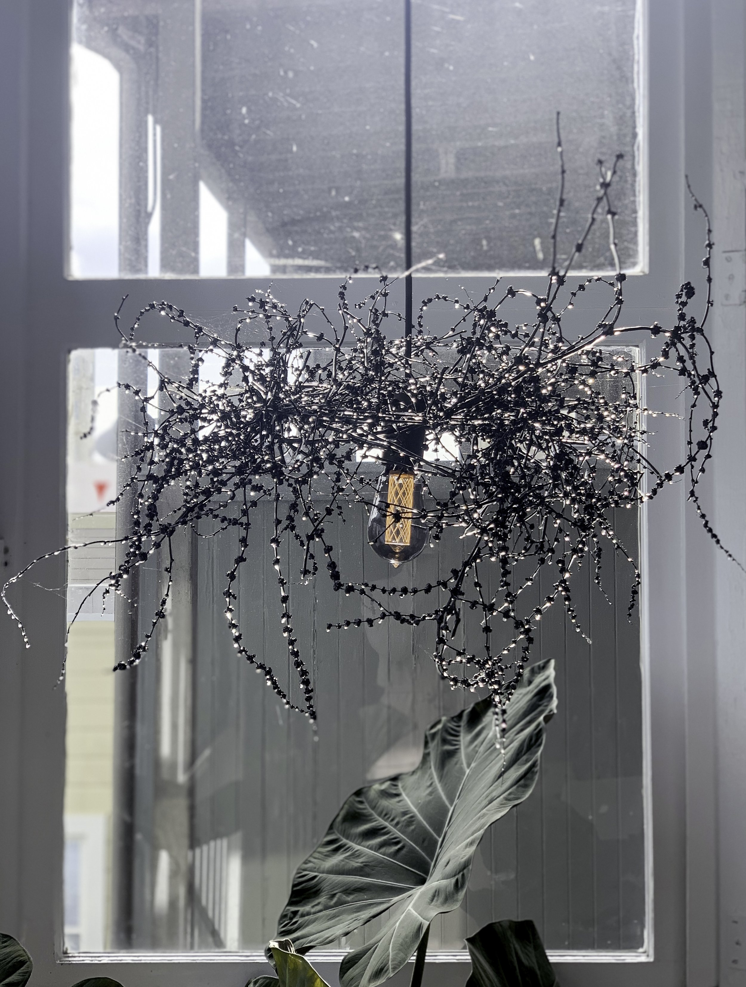 nest11.jpg