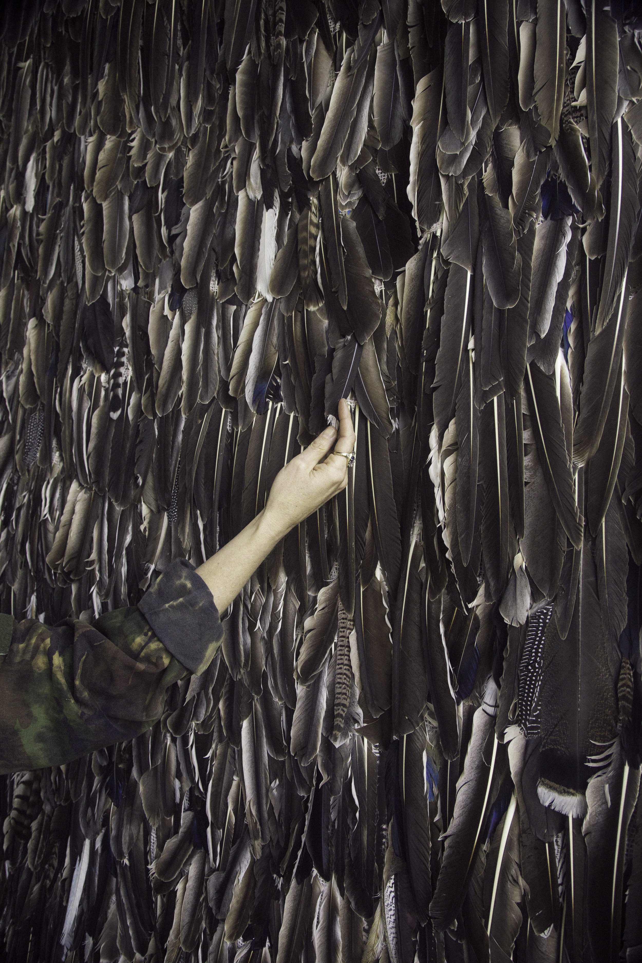 feather wall_-3.jpg