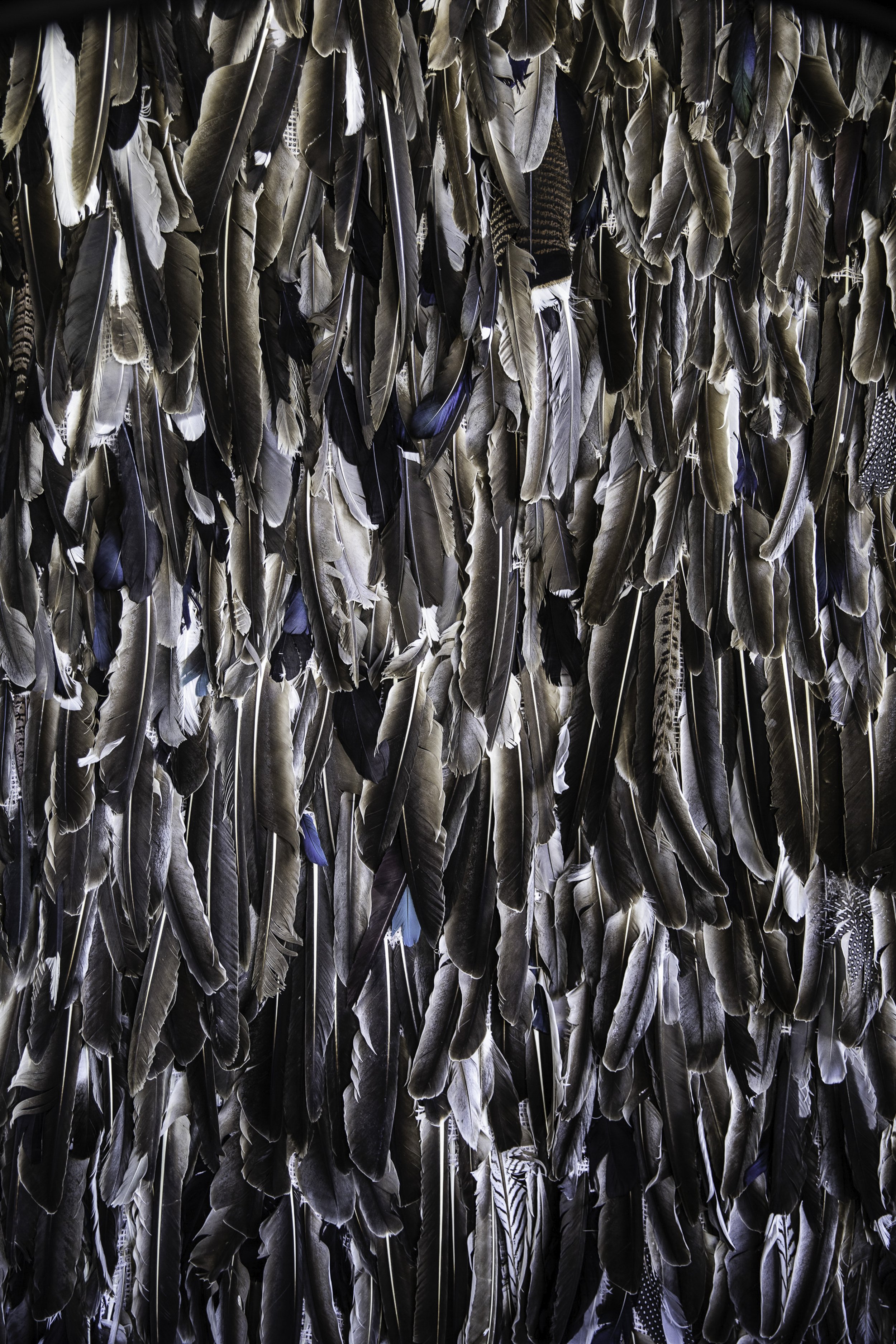 feather wall_-5.jpg