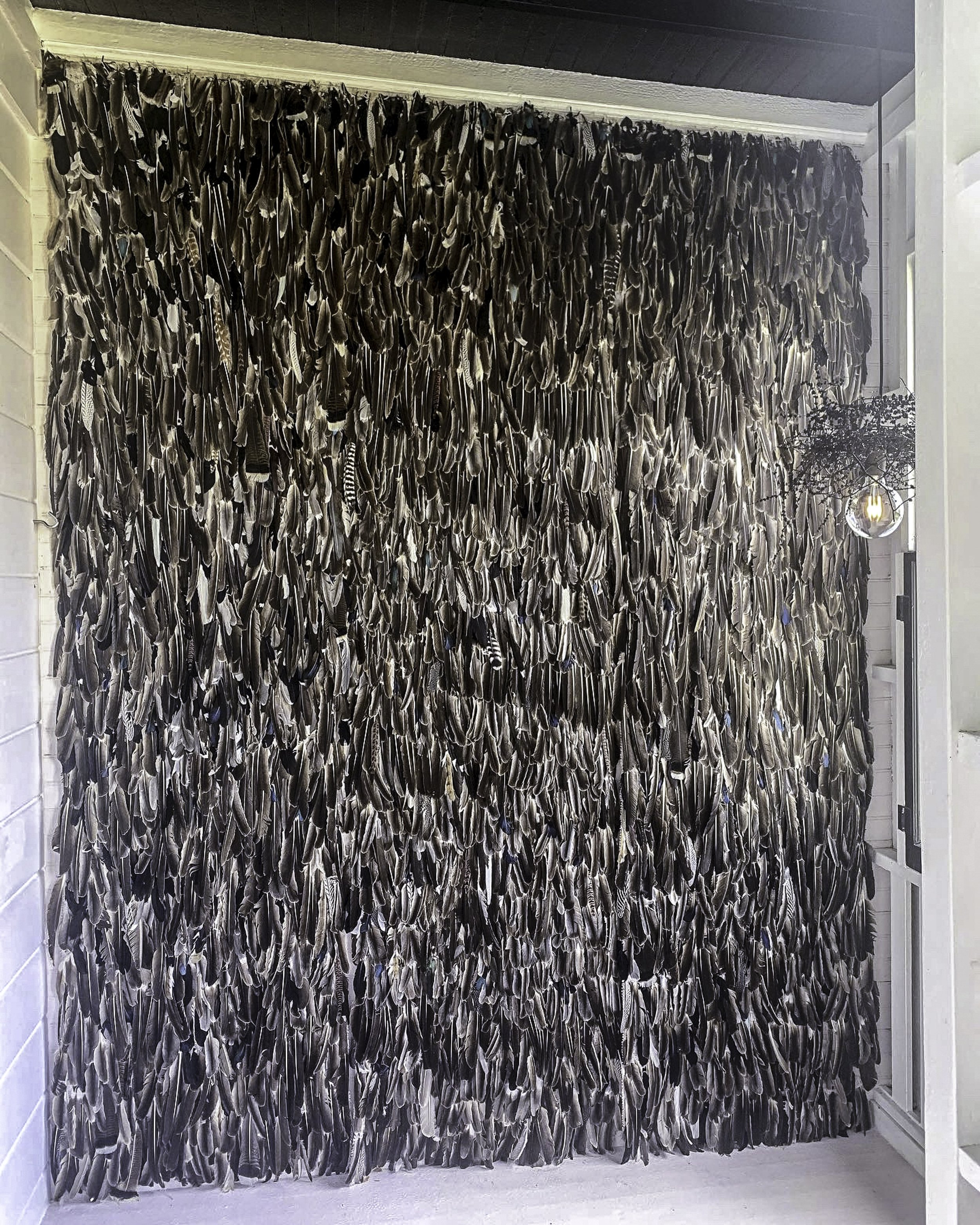 feather wall_-9.jpg