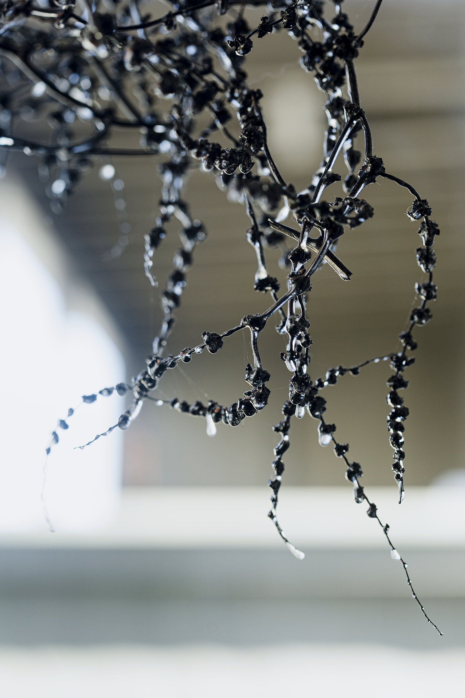 nest1 x.png