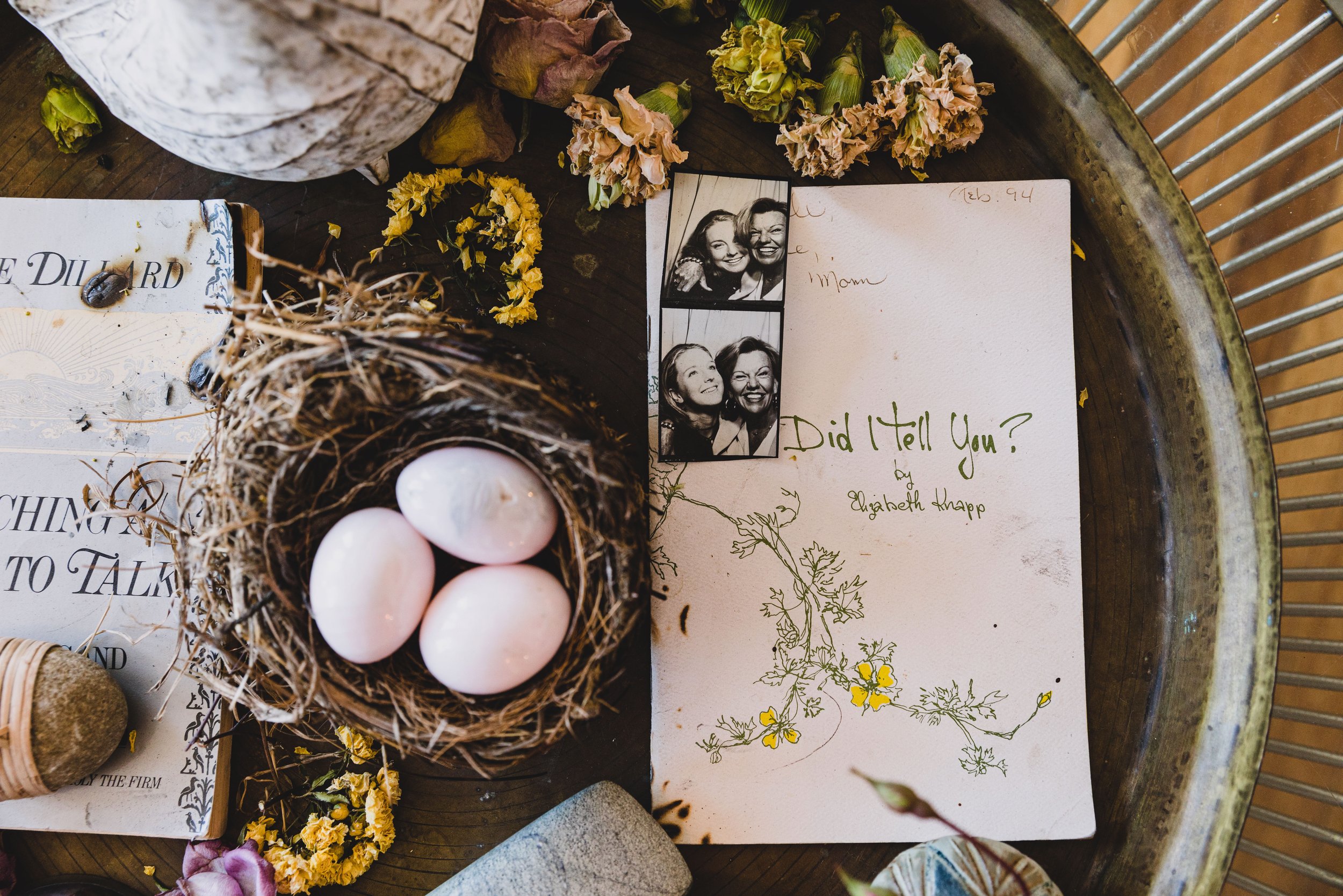 A nest with four white eggs, old book pages, dried flowers, a small stone, a corked vial, and a handwritten book titled 'Did I Tell You?' by Elizabeth Knapp on a wooden surface.