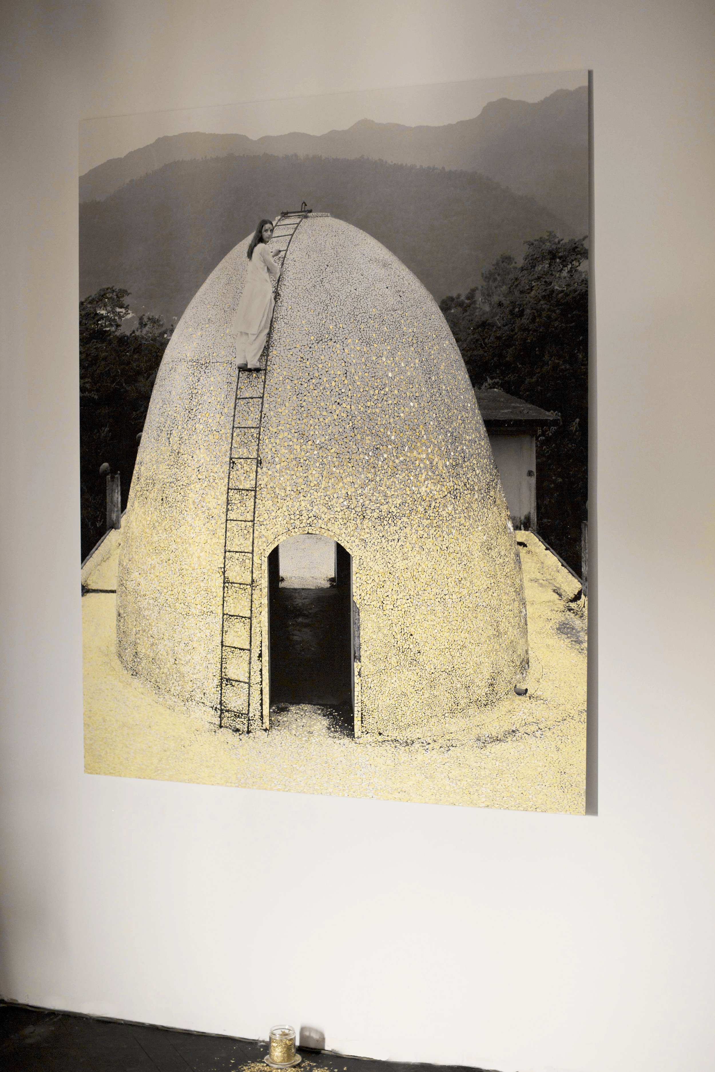 x dome copy.jpg