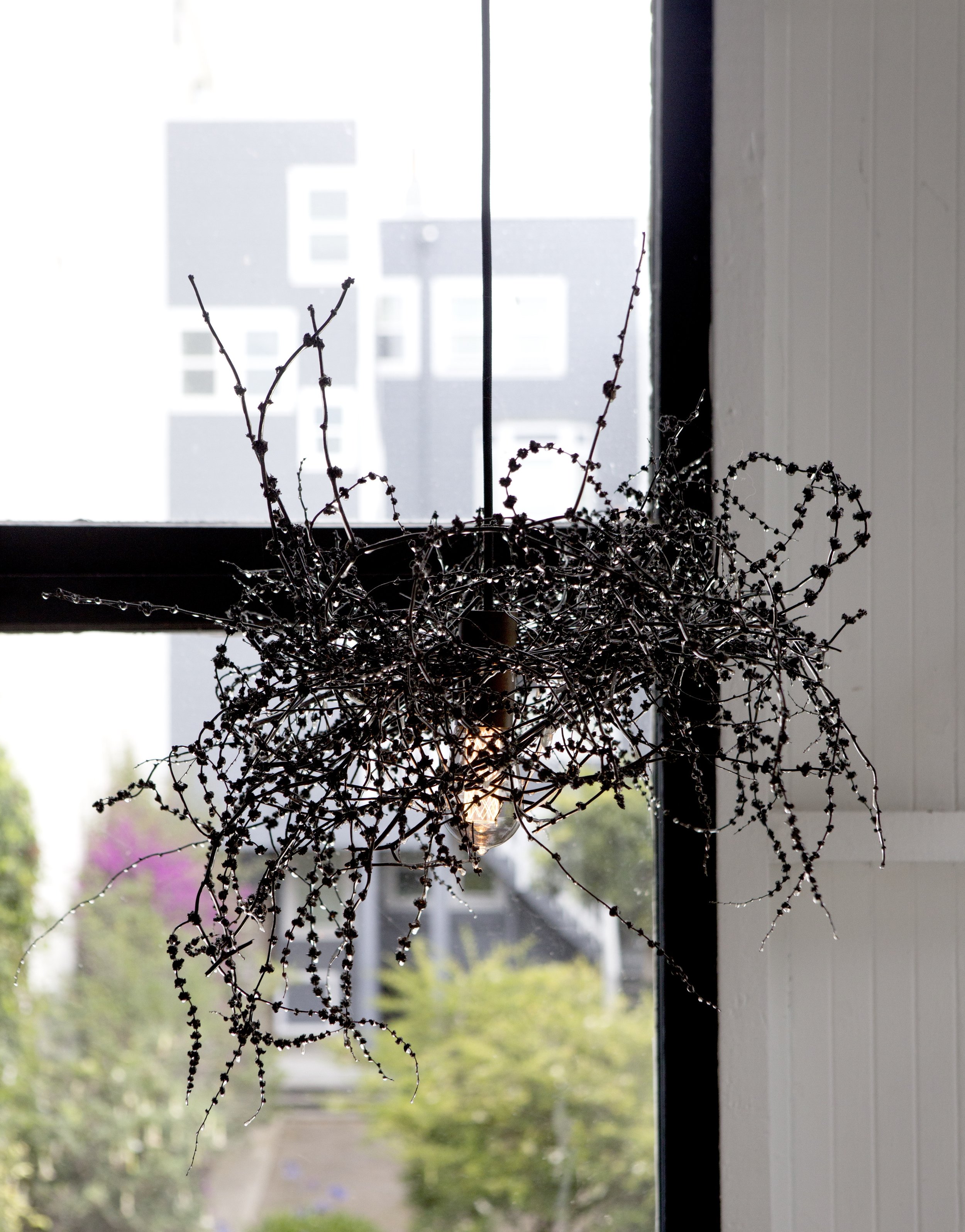 nest1-xx.jpg