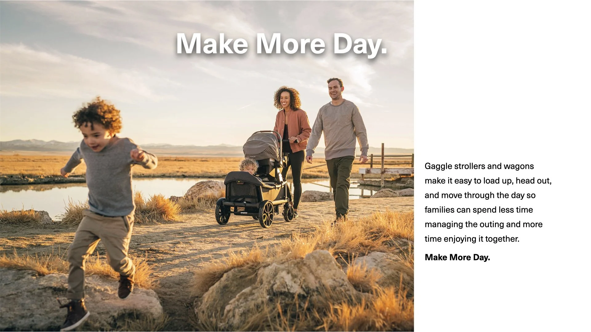 Gaggle3.jpeg