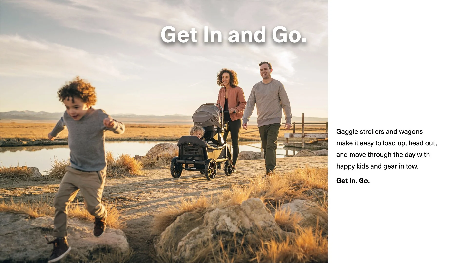 Gaggle1.jpeg