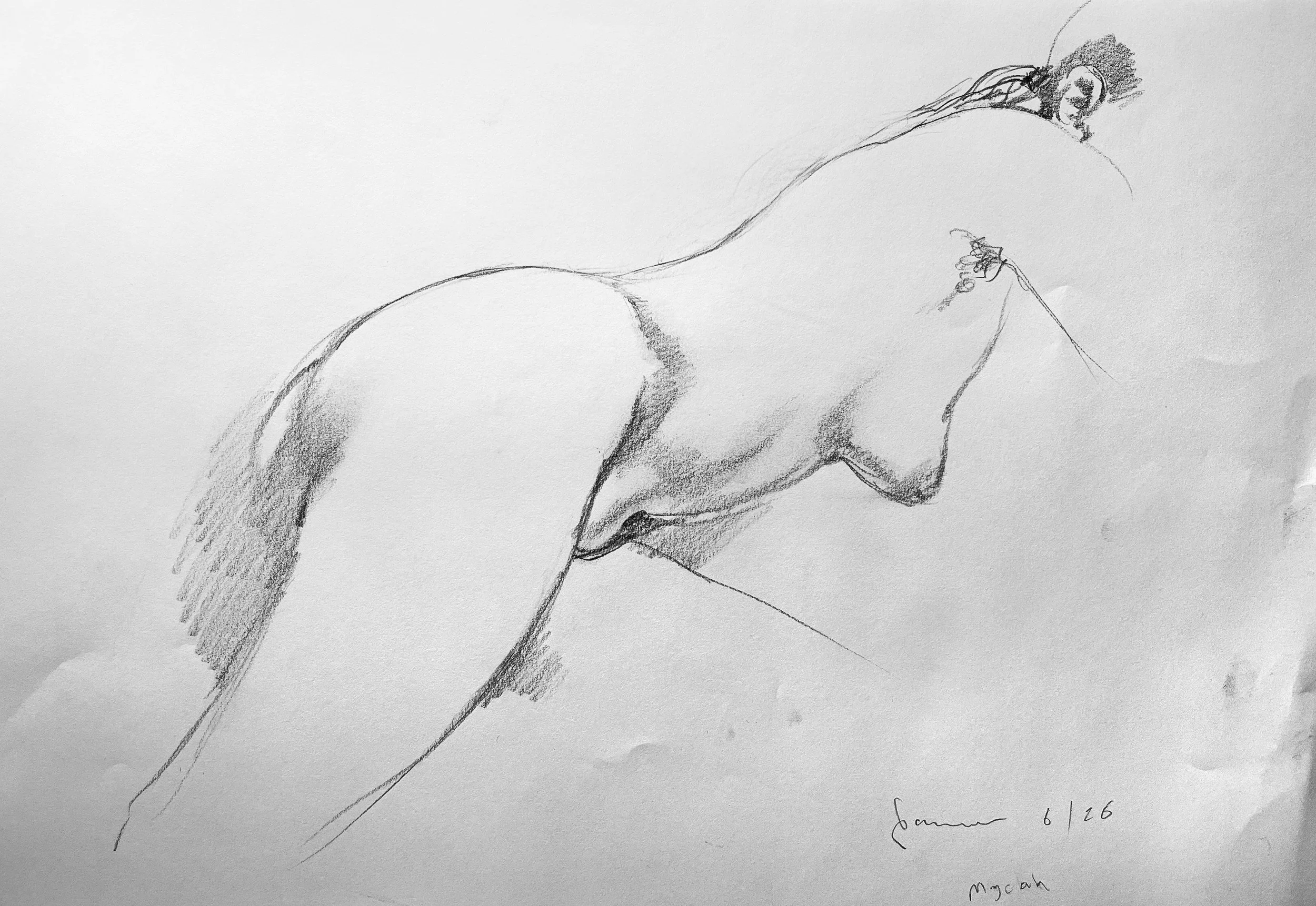 Model Posing, Graphite. 12" x 18" $50