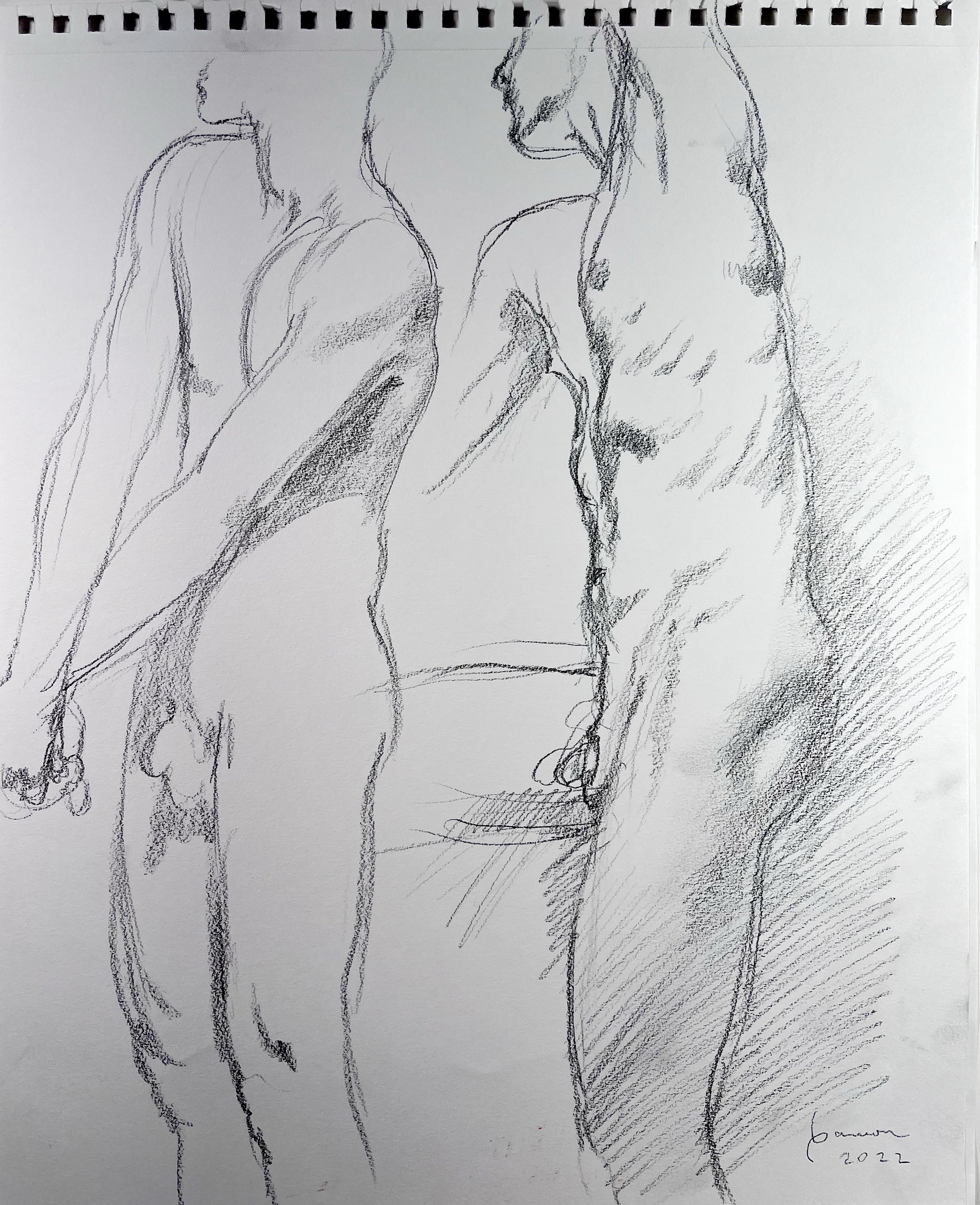 Double Figure, Graphite. 14" x 17" $90