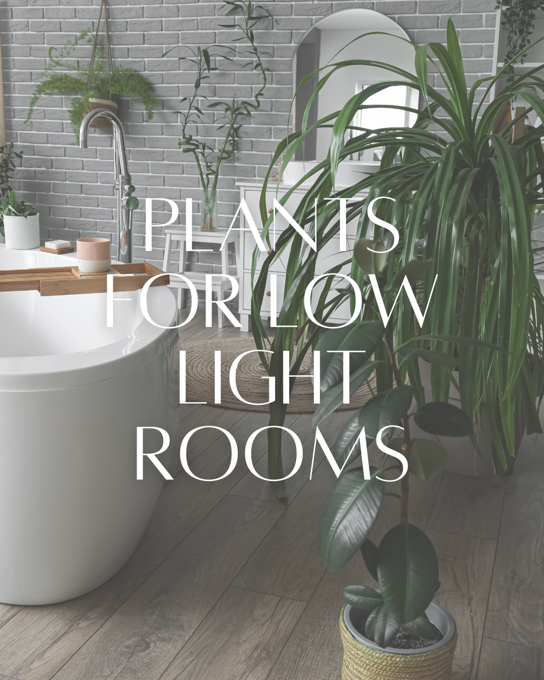 A bathroom with a large green plant, a bathtub with a wooden tray, and decorative items against a brick wall. Overlaid text reads 'Plants for Low Light Rooms.'