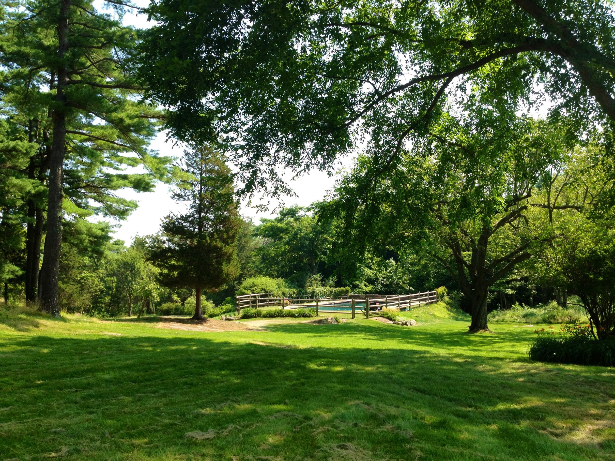 Hodges pool 7.15.2102.jpg