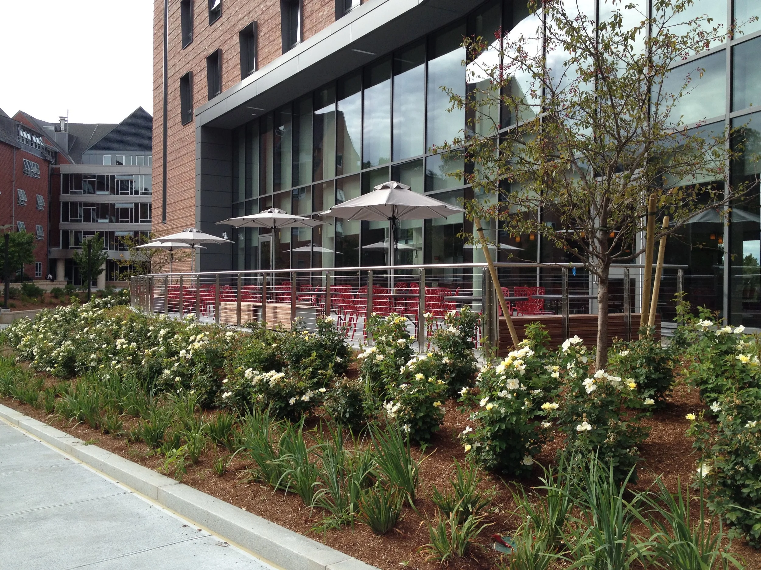 dining terrace 1.jpg